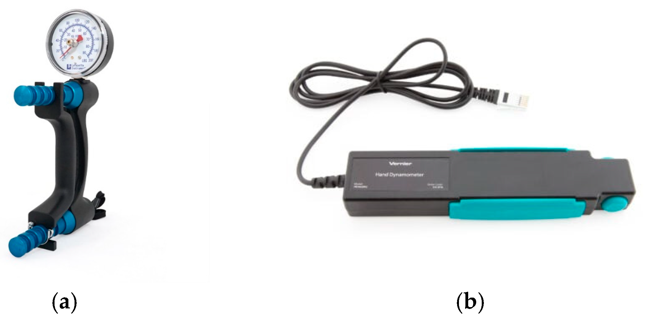 Sensors 24 05100 g001