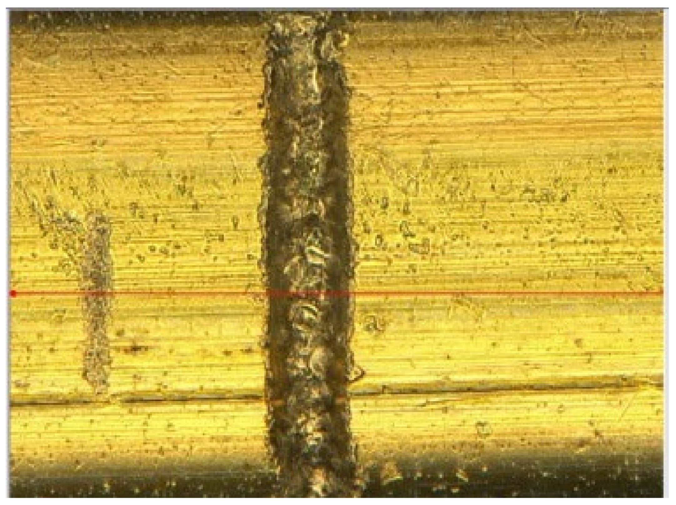 Sensors 24 05101 g003