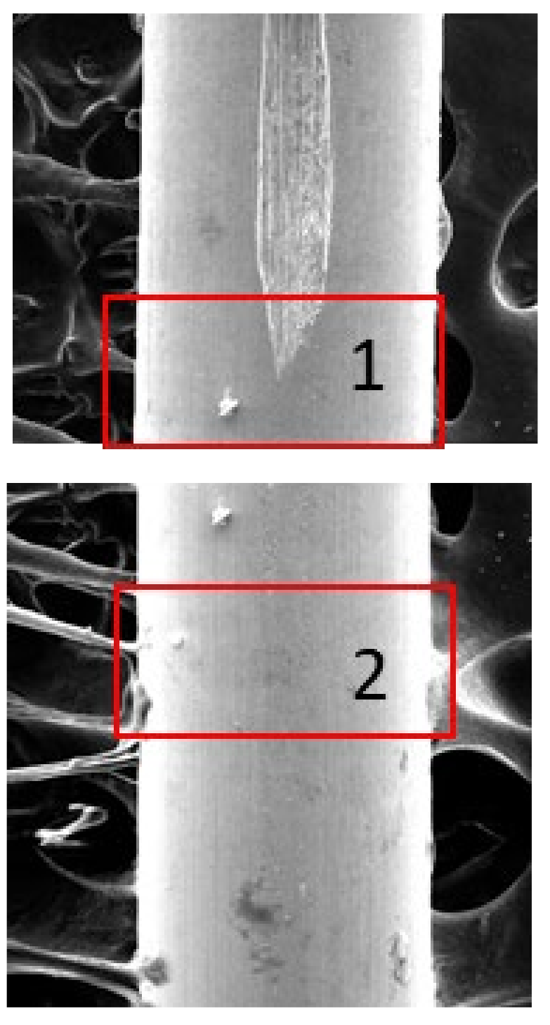 Sensors 24 05101 g007