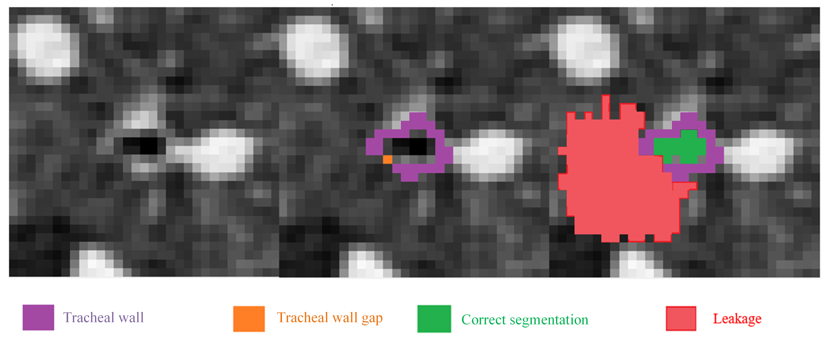 Sensors 24 05104 g001 Sensors 24 05104 g001