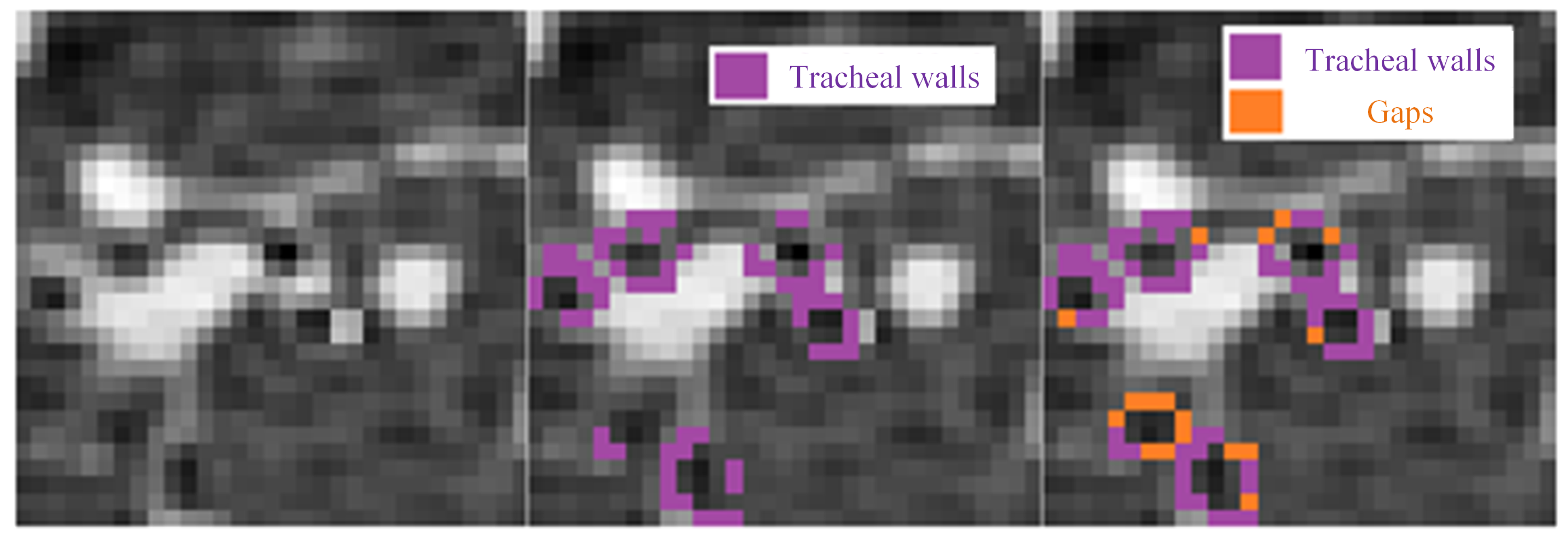 Sensors 24 05104 g004 Sensors 24 05104 g004
