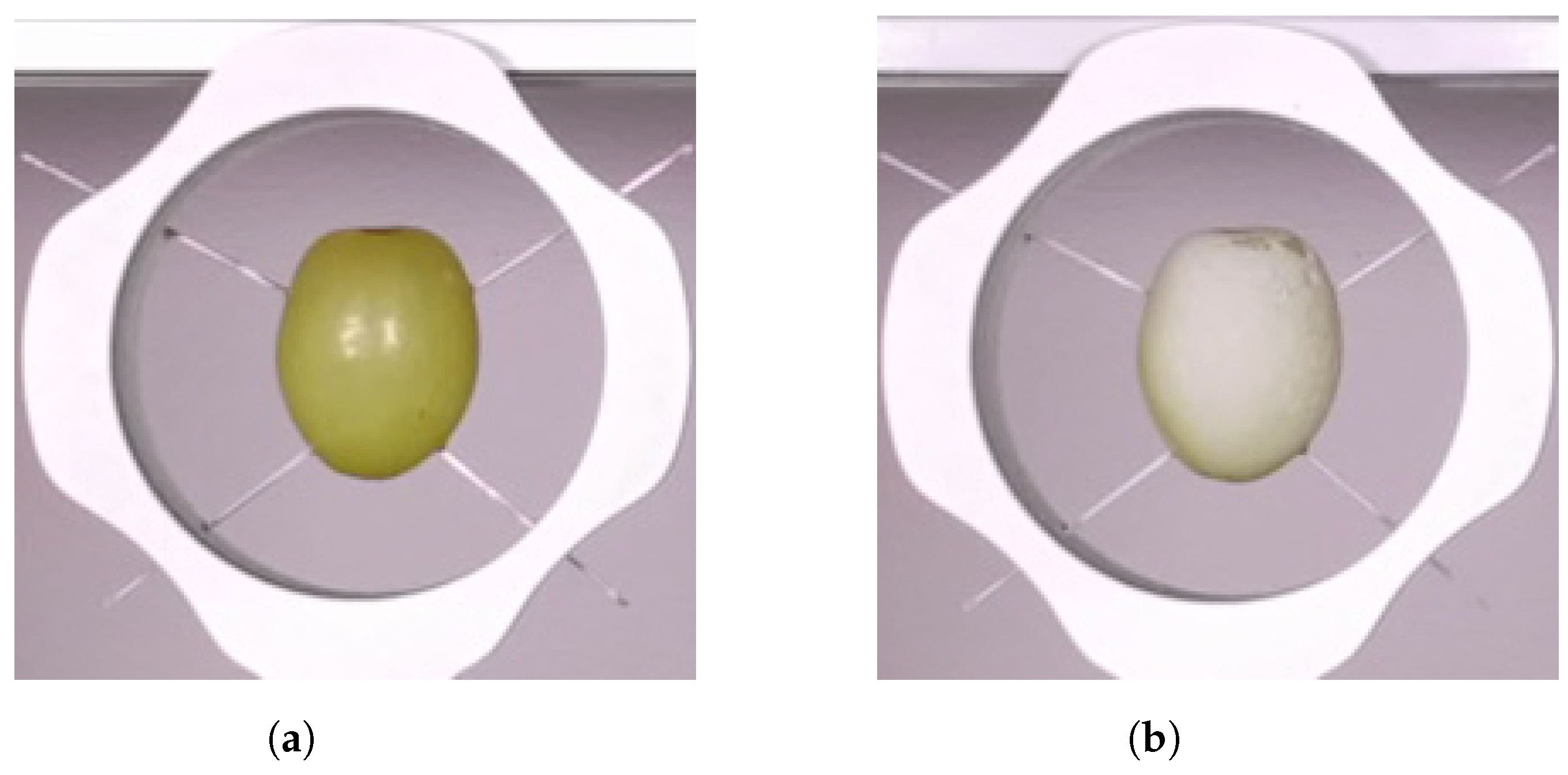 Sensors 24 05109 g002