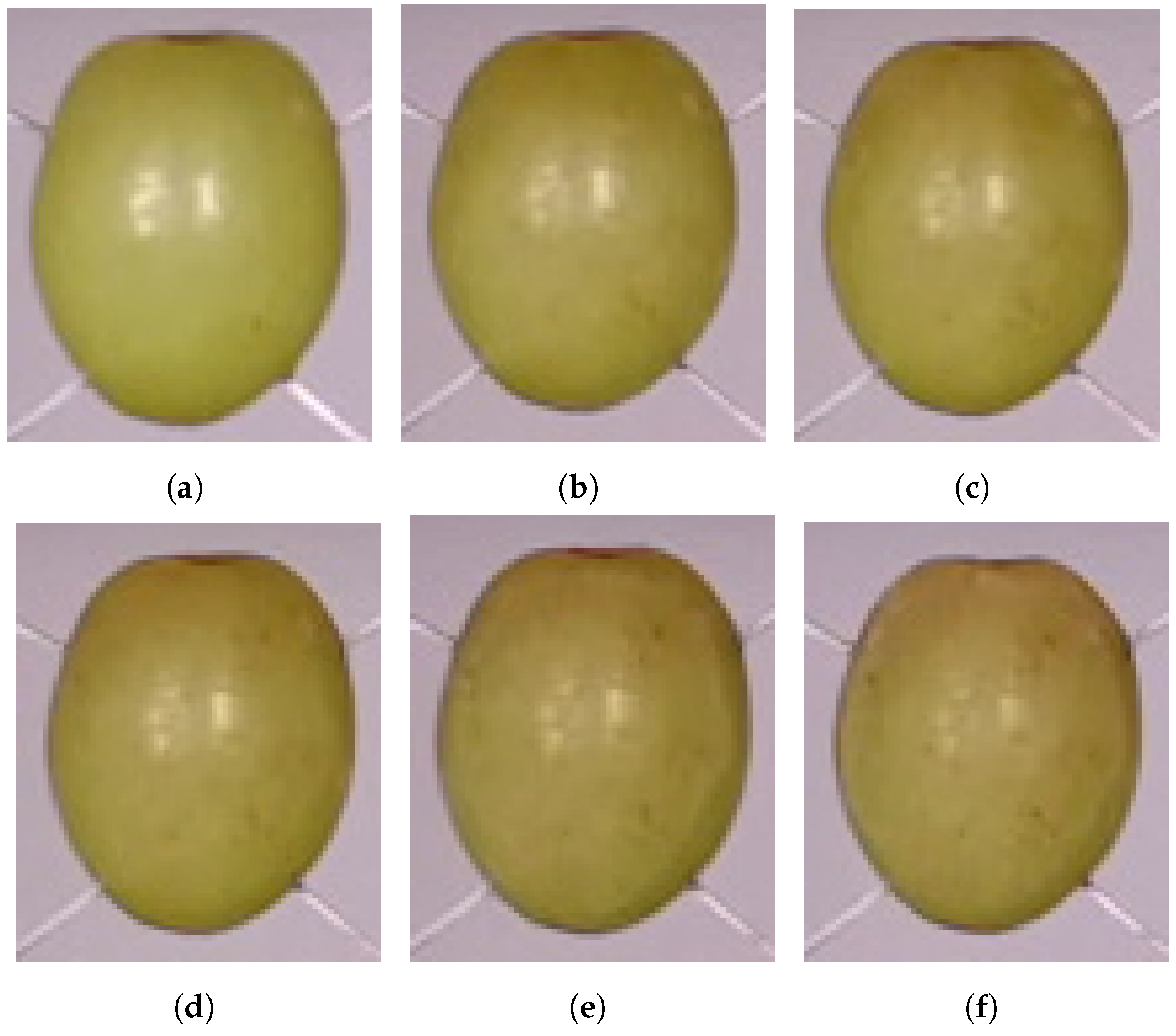 Sensors 24 05109 g005