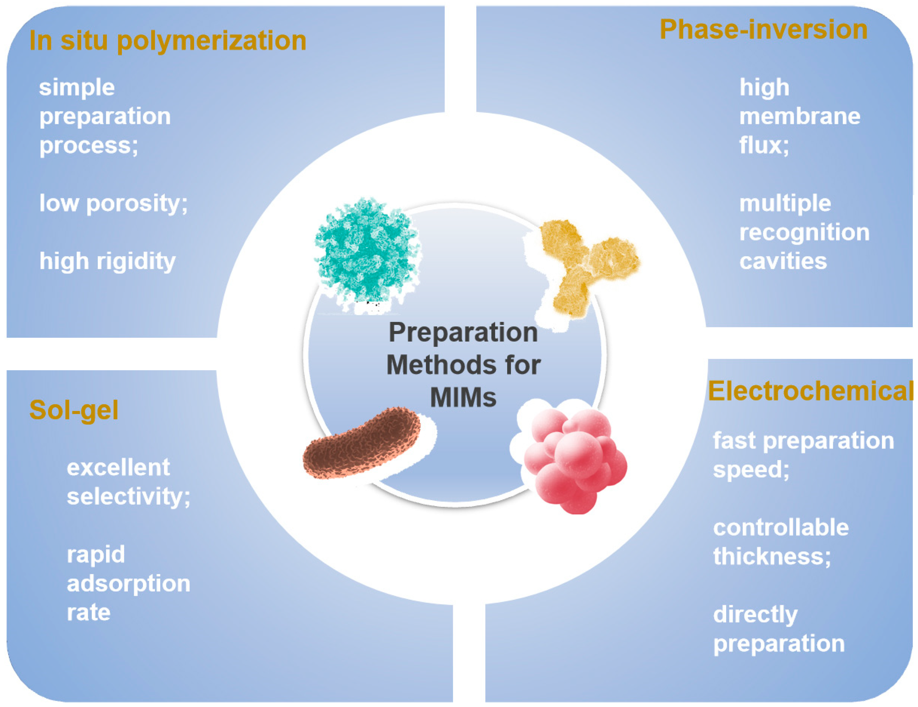 Sensors 24 05119 g002