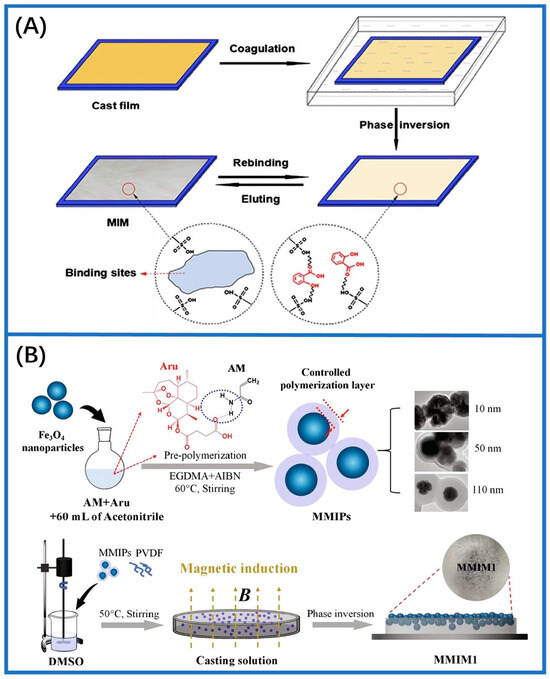 Sensing with Molecularly Imprinted Membranes on Two-Dimensional