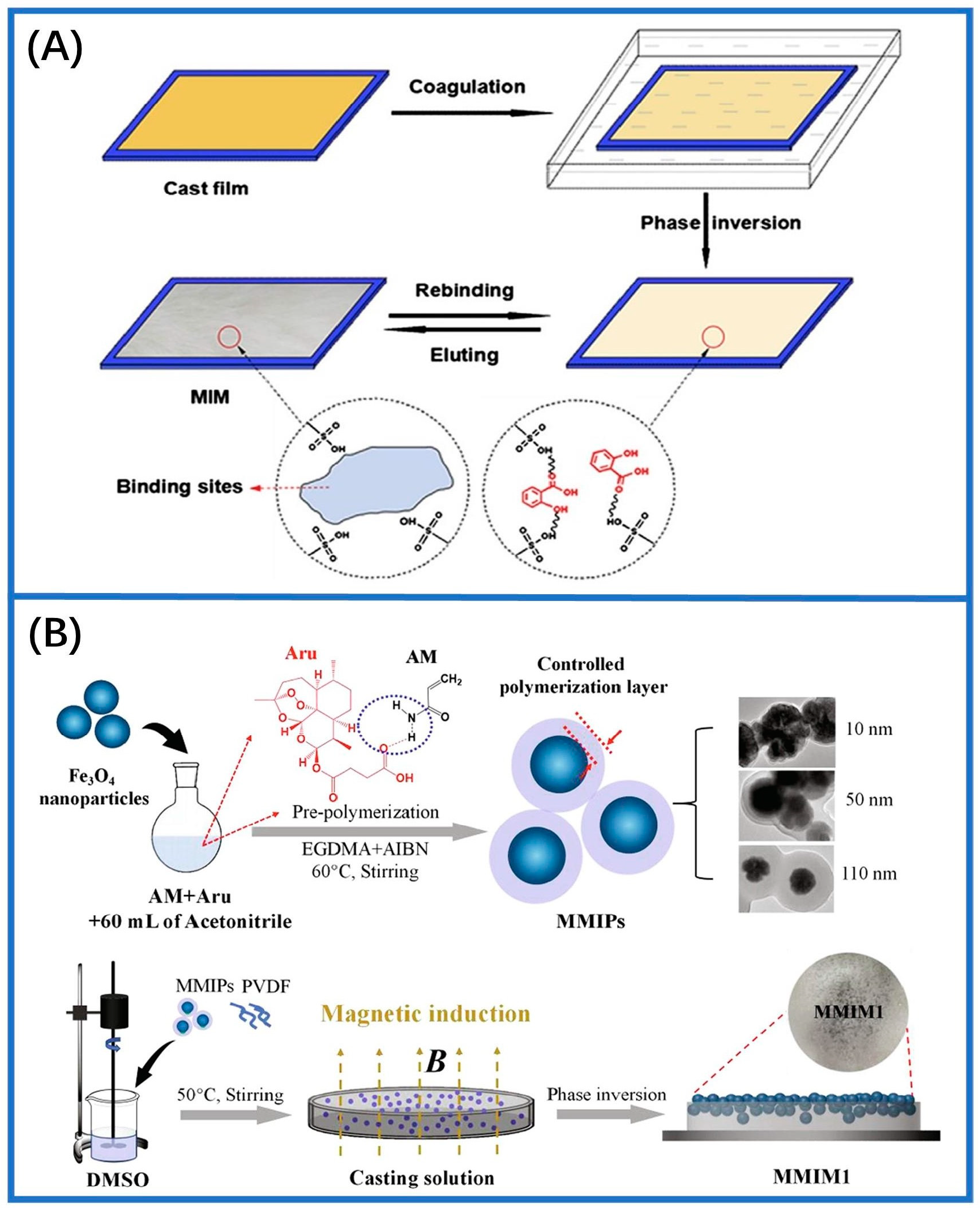 Sensors 24 05119 g004