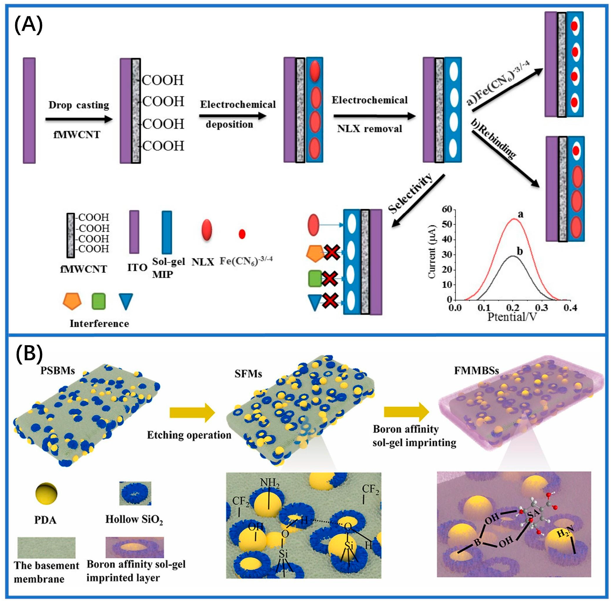 Sensors 24 05119 g005