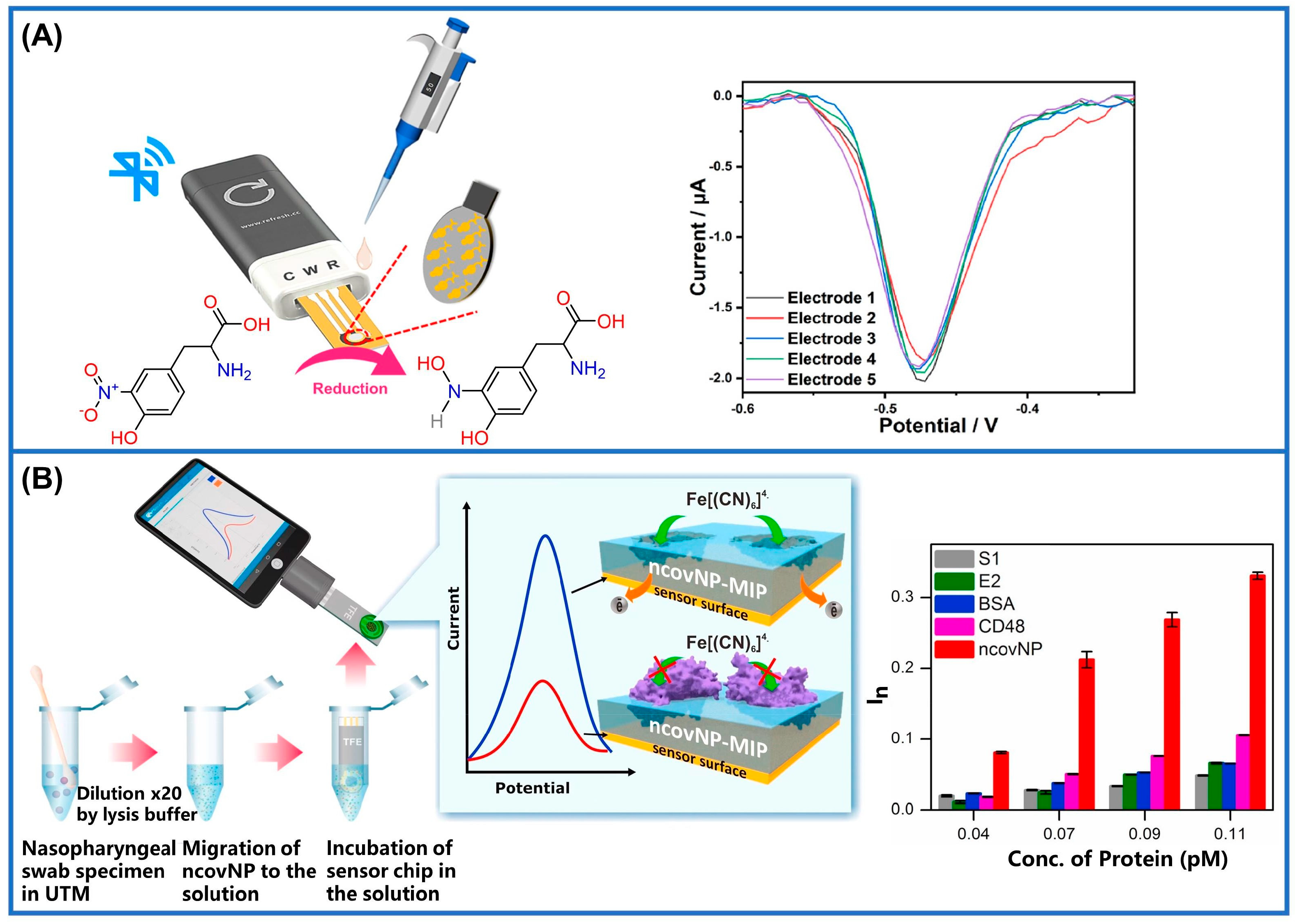 Sensors 24 05119 g007