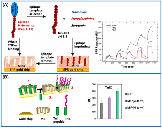 Sensing with Molecularly Imprinted Membranes on Two-Dimensional