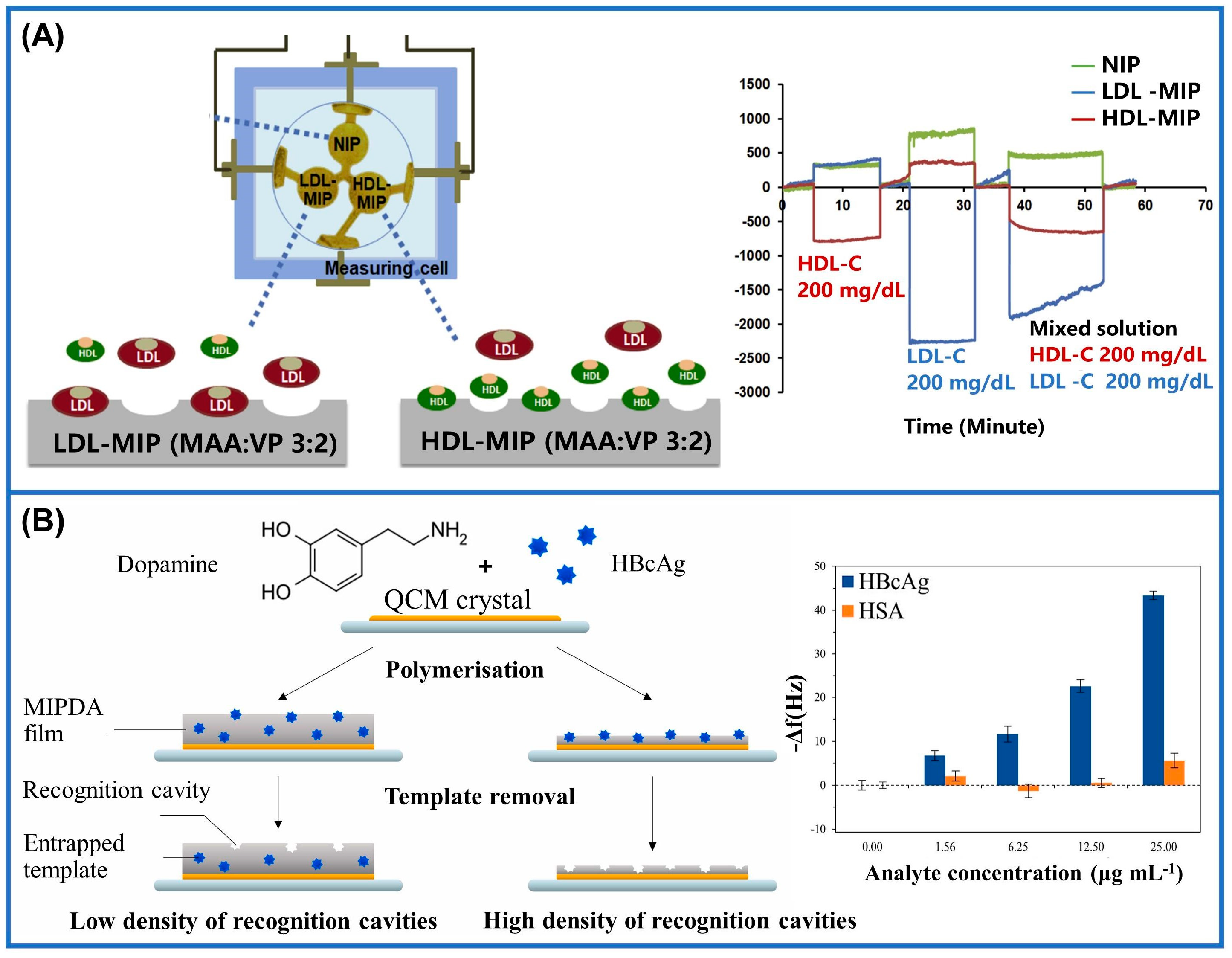 Sensors 24 05119 g010