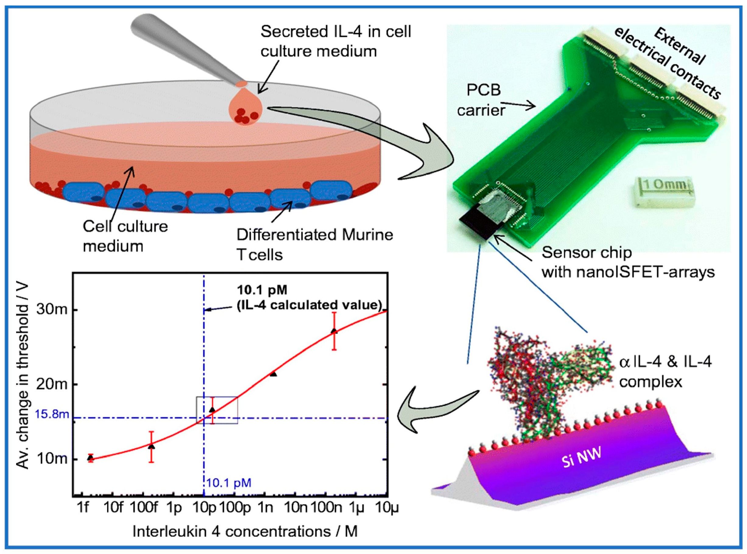 Sensors 24 05119 g012