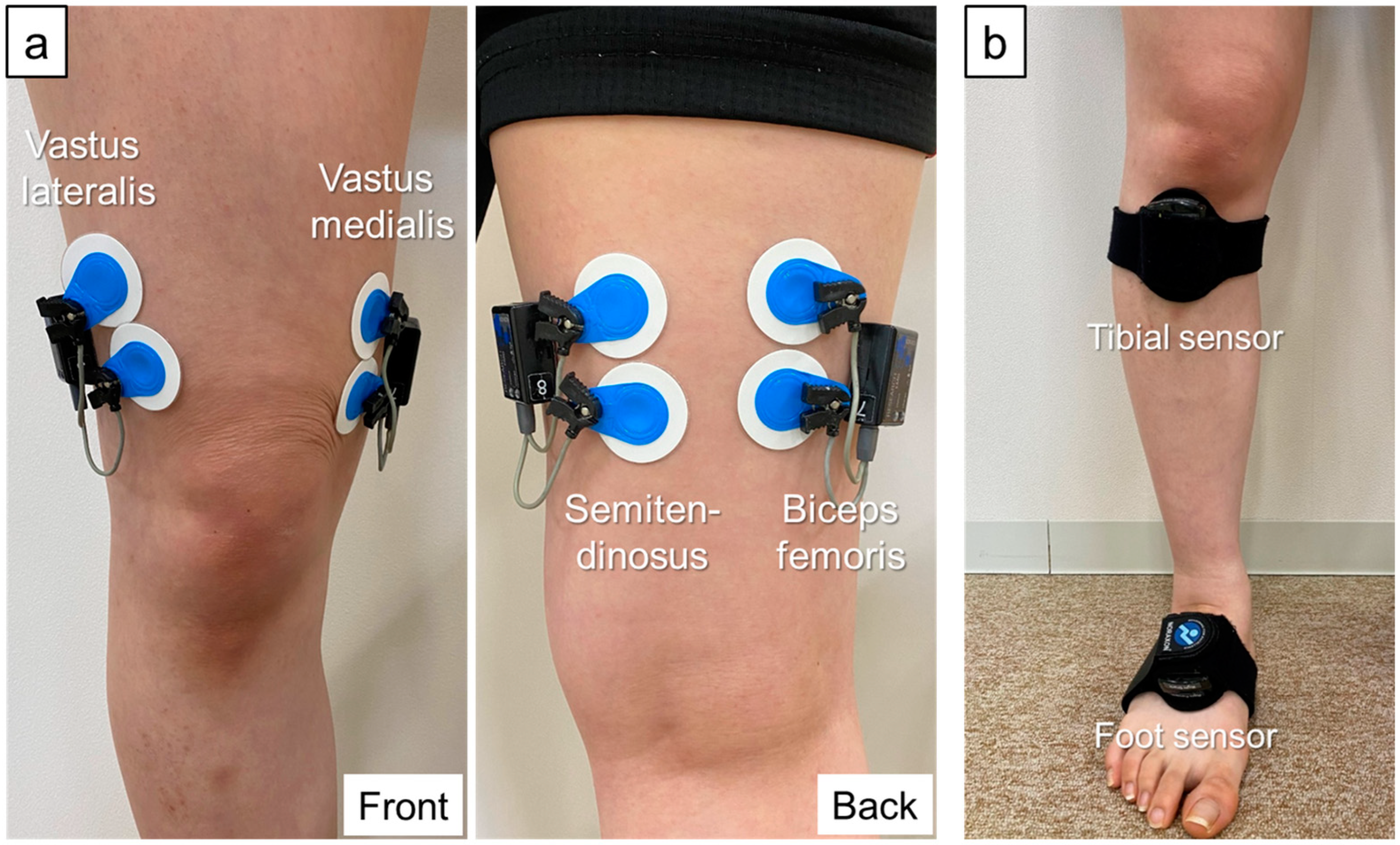 Sensors 24 05137 g001