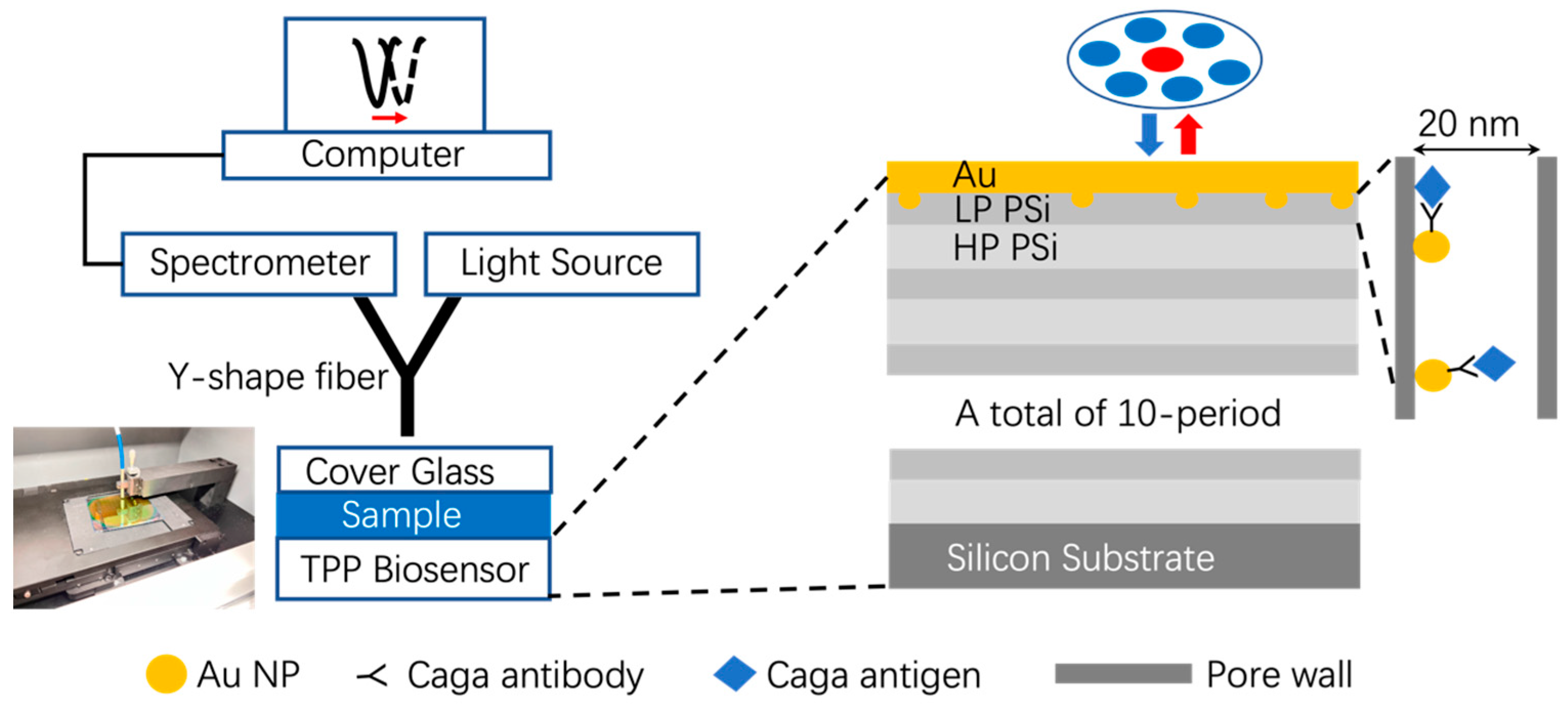 Sensors 24 05153 g001