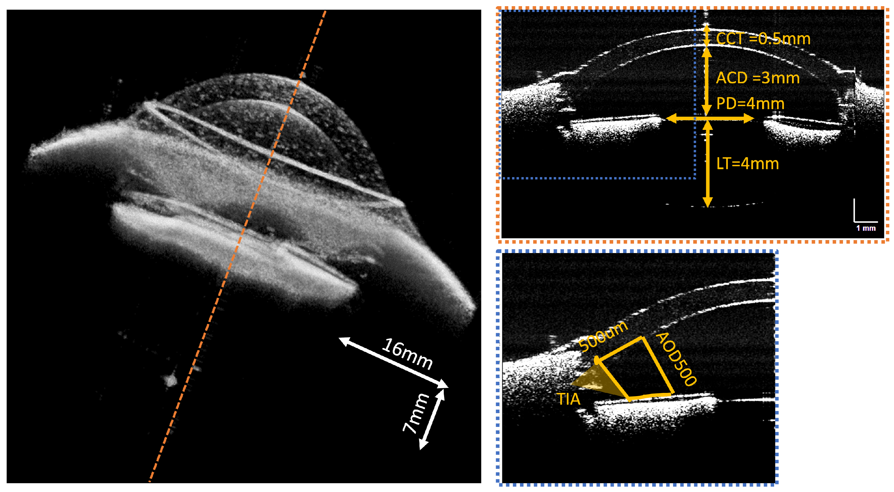 Sensors 24 05161 g009