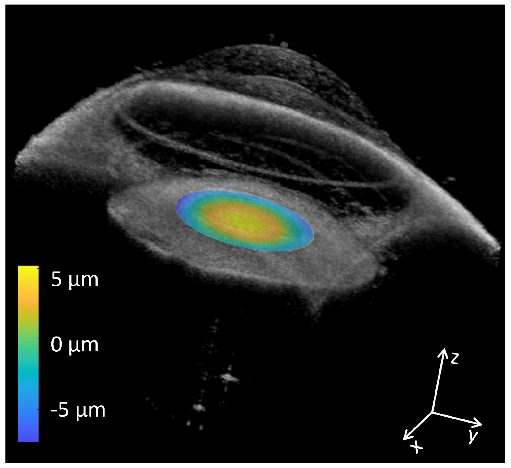 Sensors 24 05161 g010