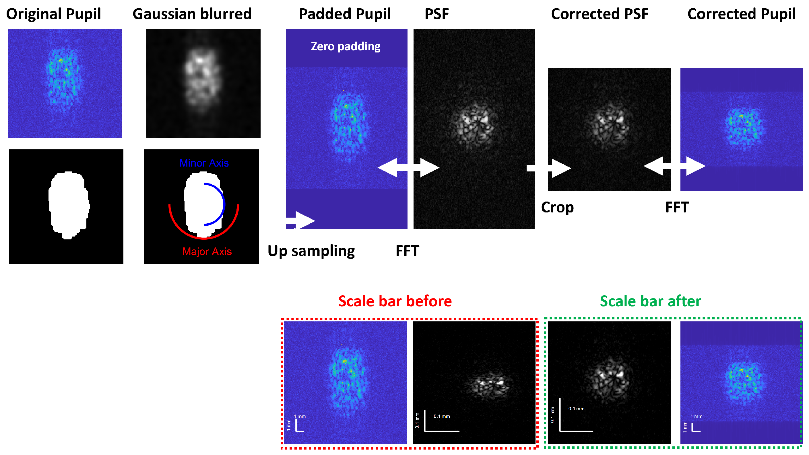 Sensors 24 05161 g0a3