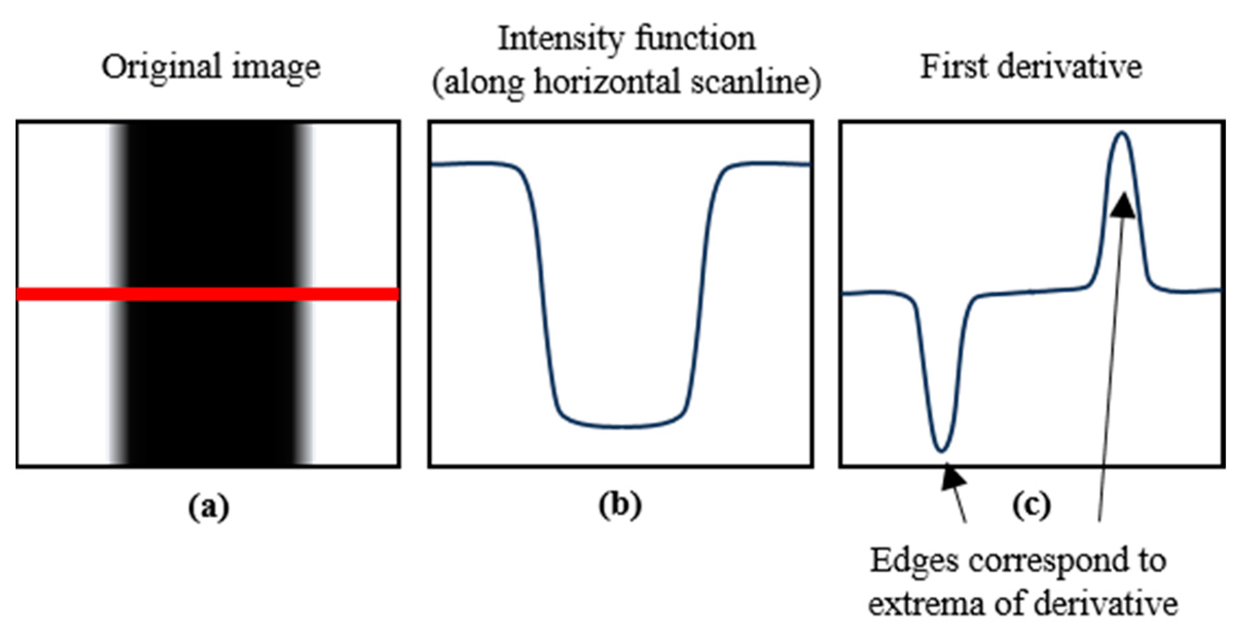 Sensors 24 05162 g001
