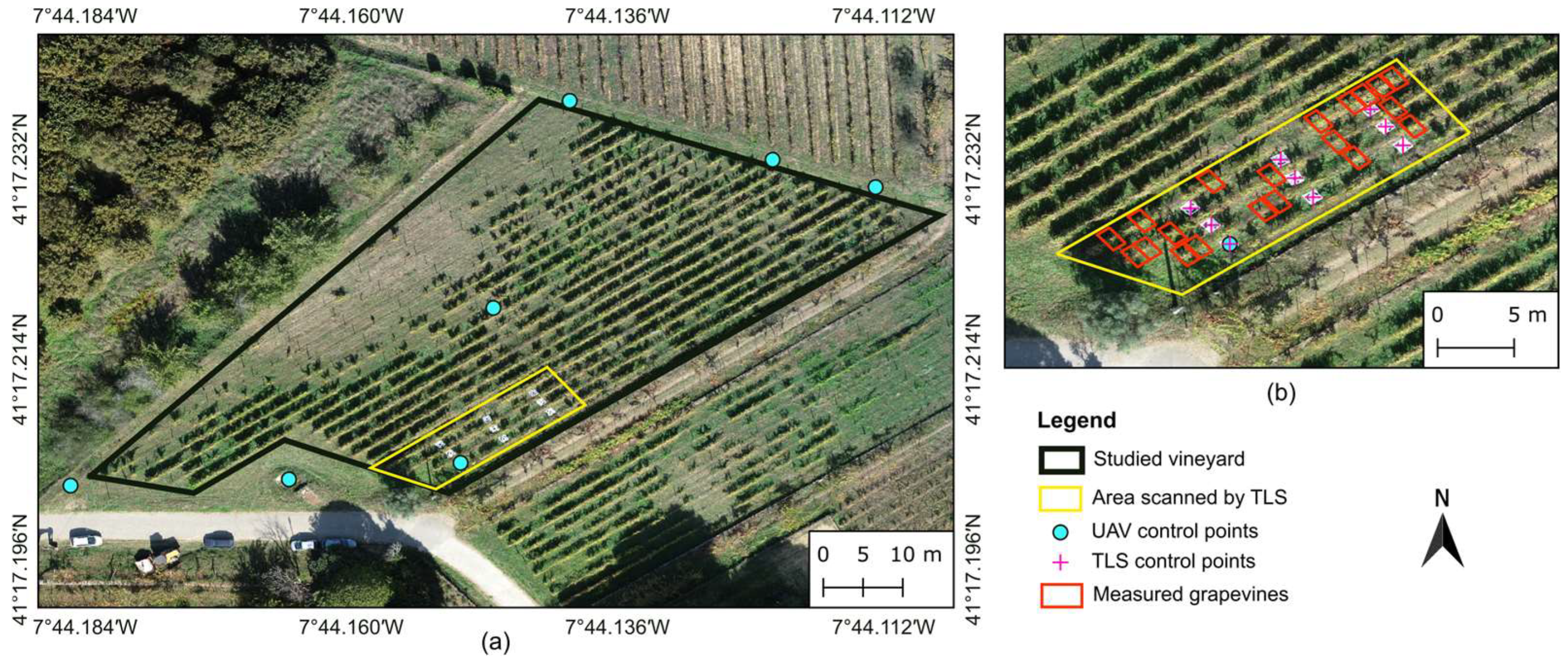 Sensors 24 05183 g001