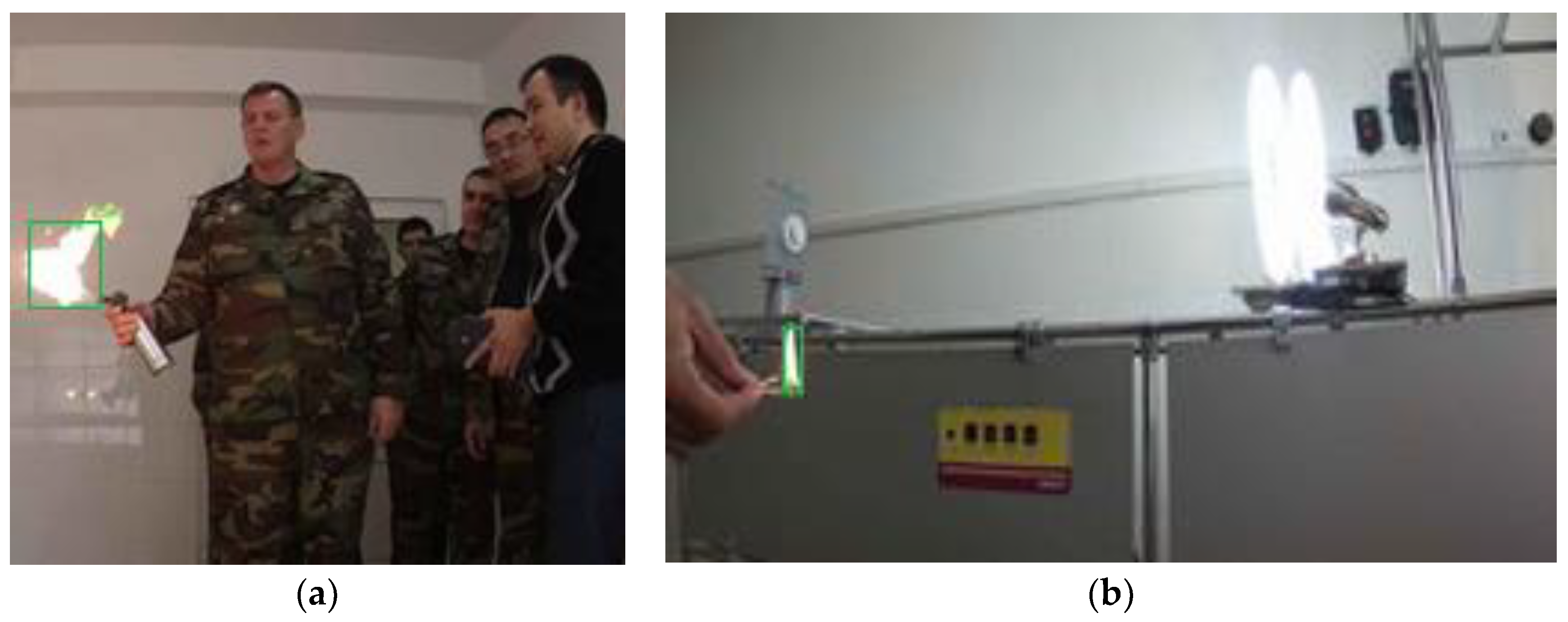 Sensors 24 05184 g007