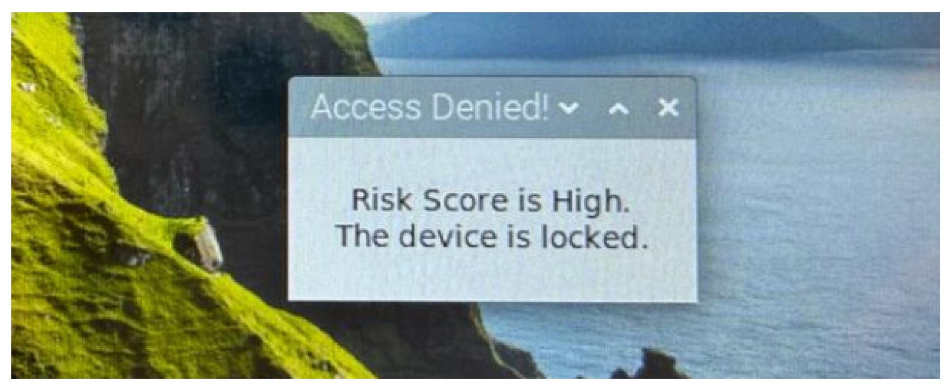 Sensors 24 05193 g010