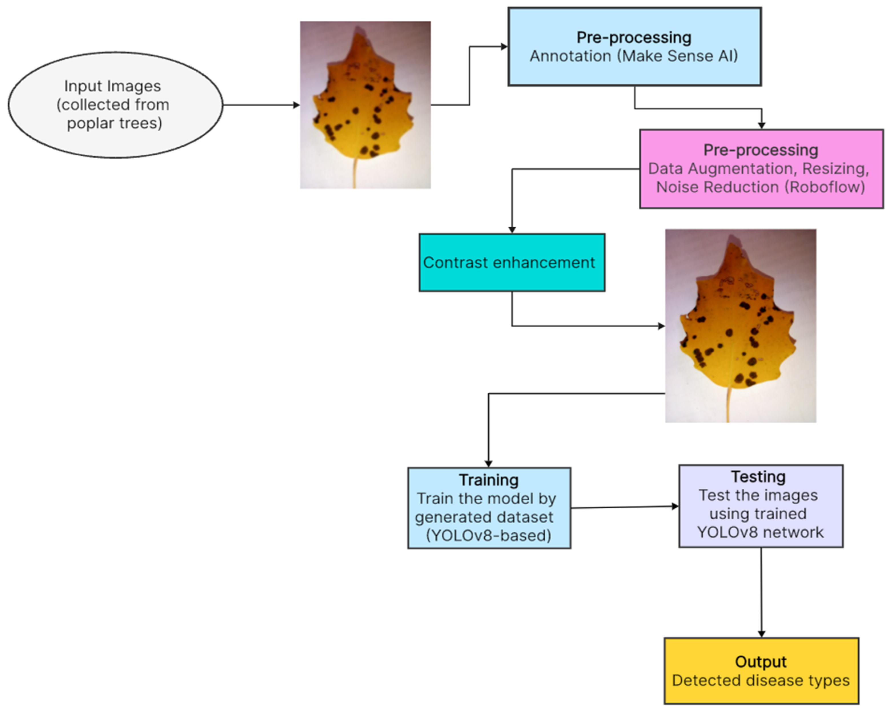 Sensors 24 05200 g001