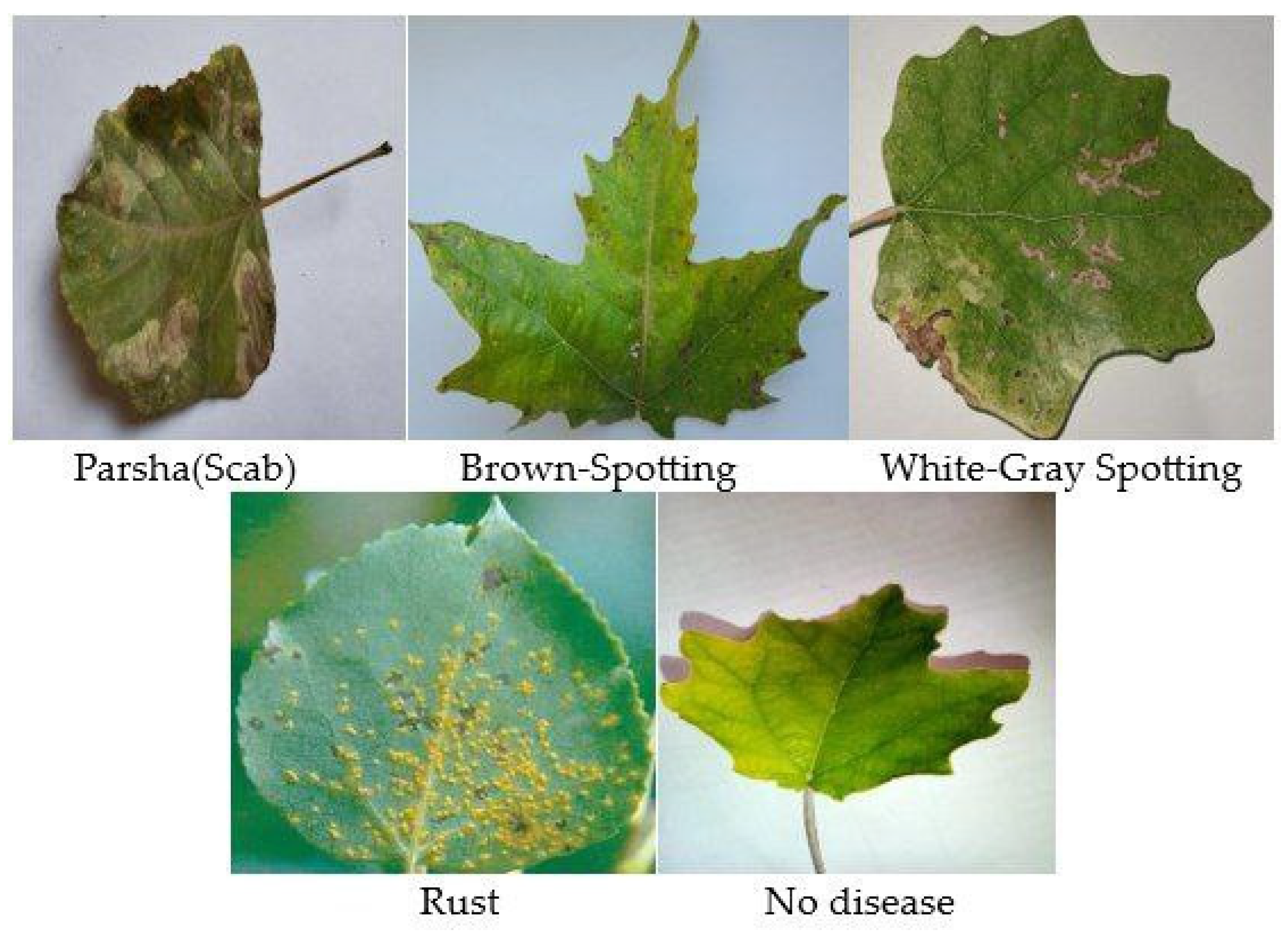 Sensors 24 05200 g002