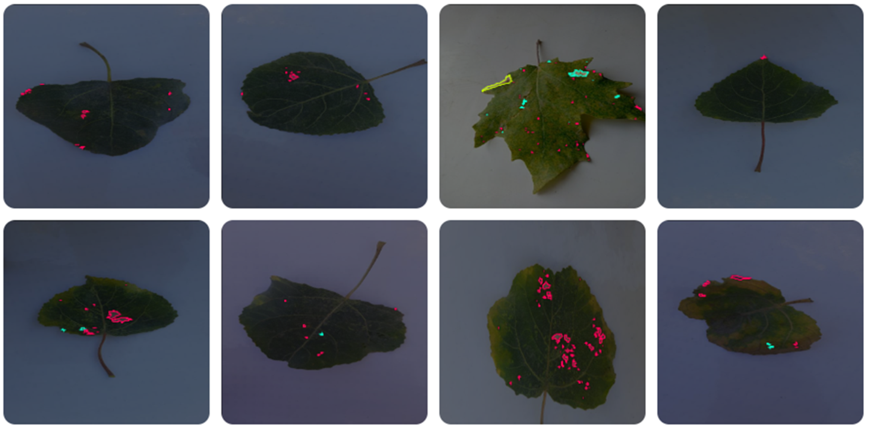 Sensors 24 05200 g003