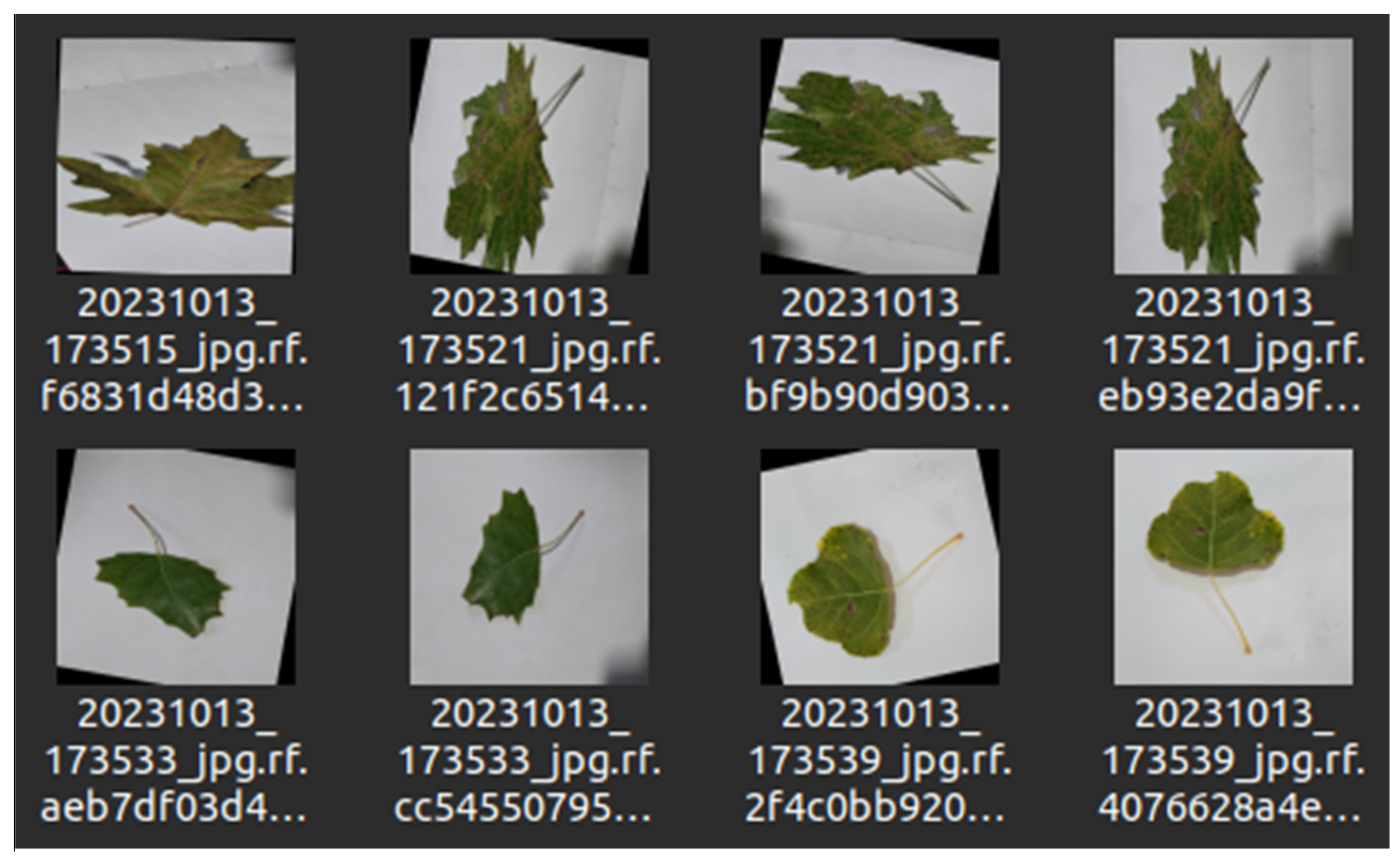 Sensors 24 05200 g004