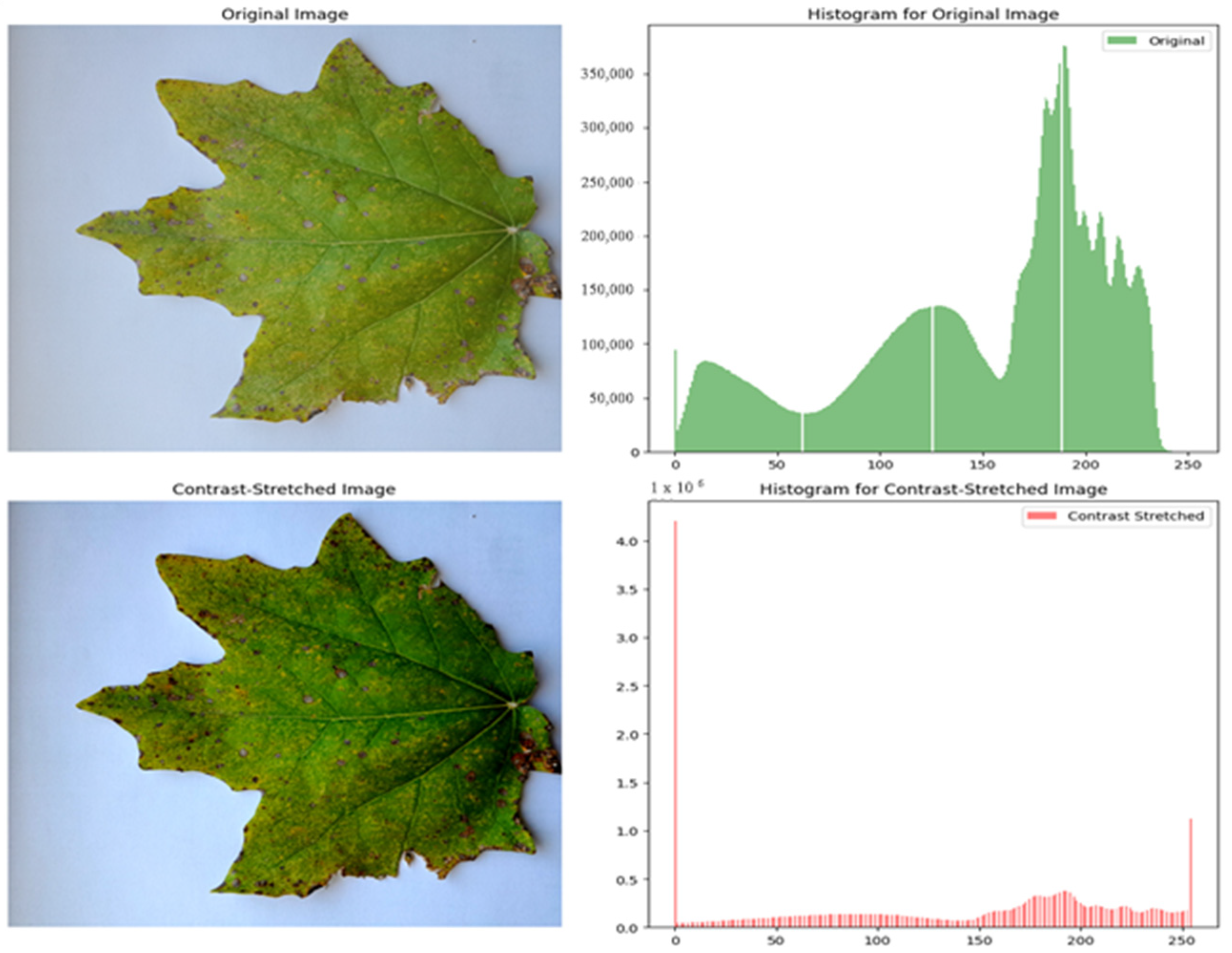 Sensors 24 05200 g006