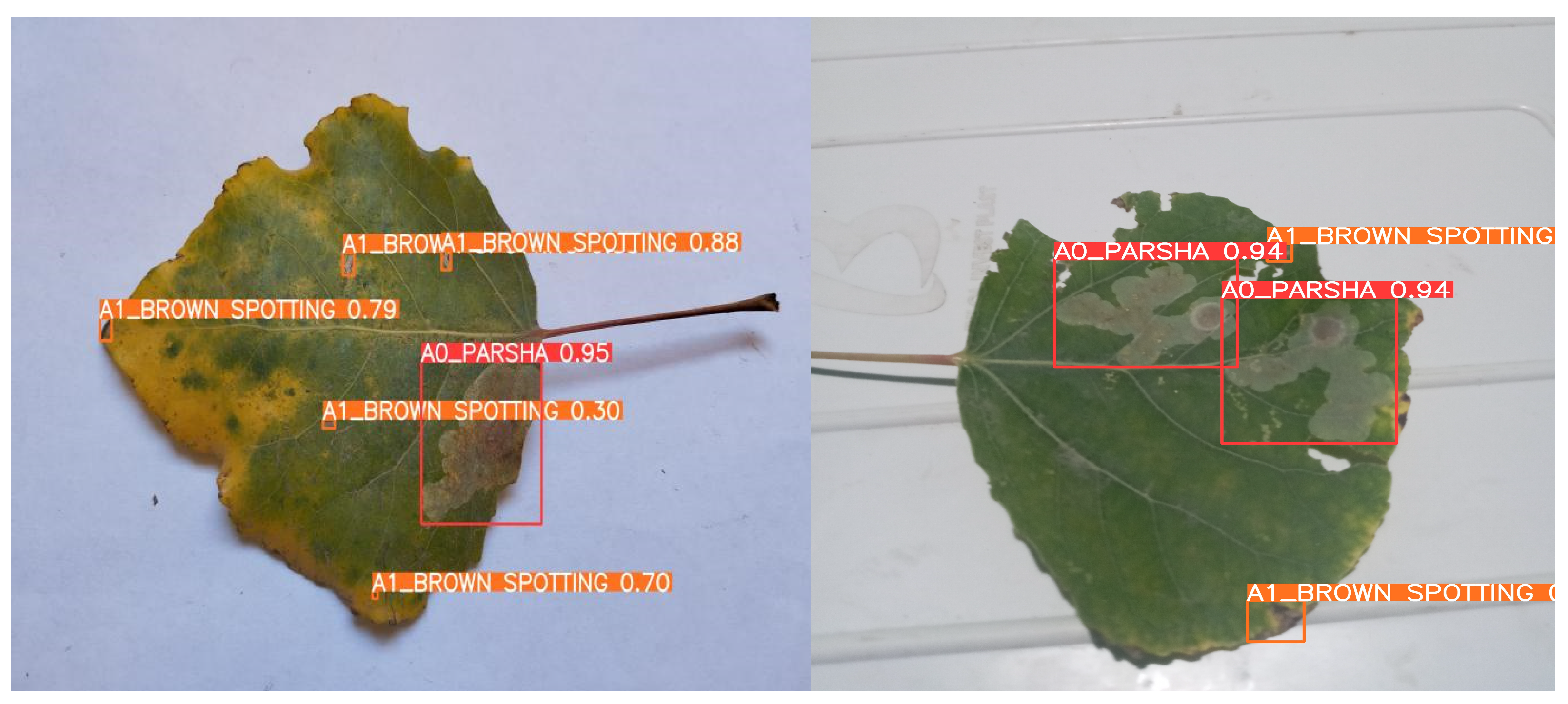 Sensors 24 05200 g012