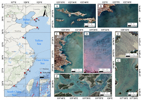 MSSFNet: A Multiscale Spatial–Spectral Fusion Network for