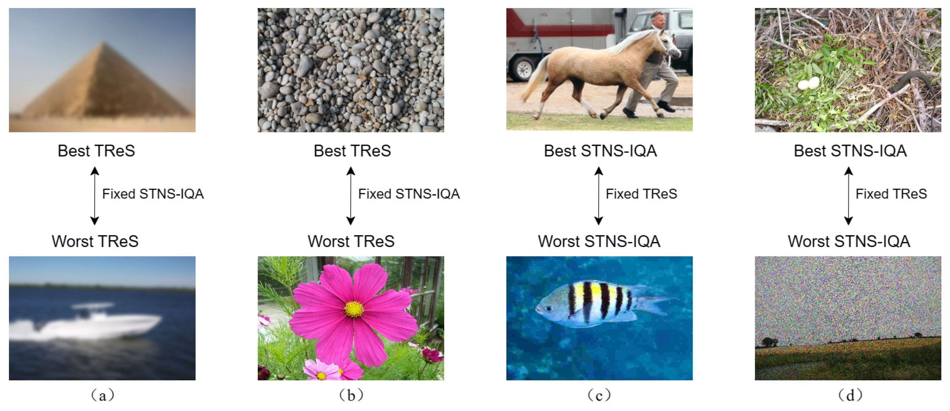 Sensors 24 05221 g005