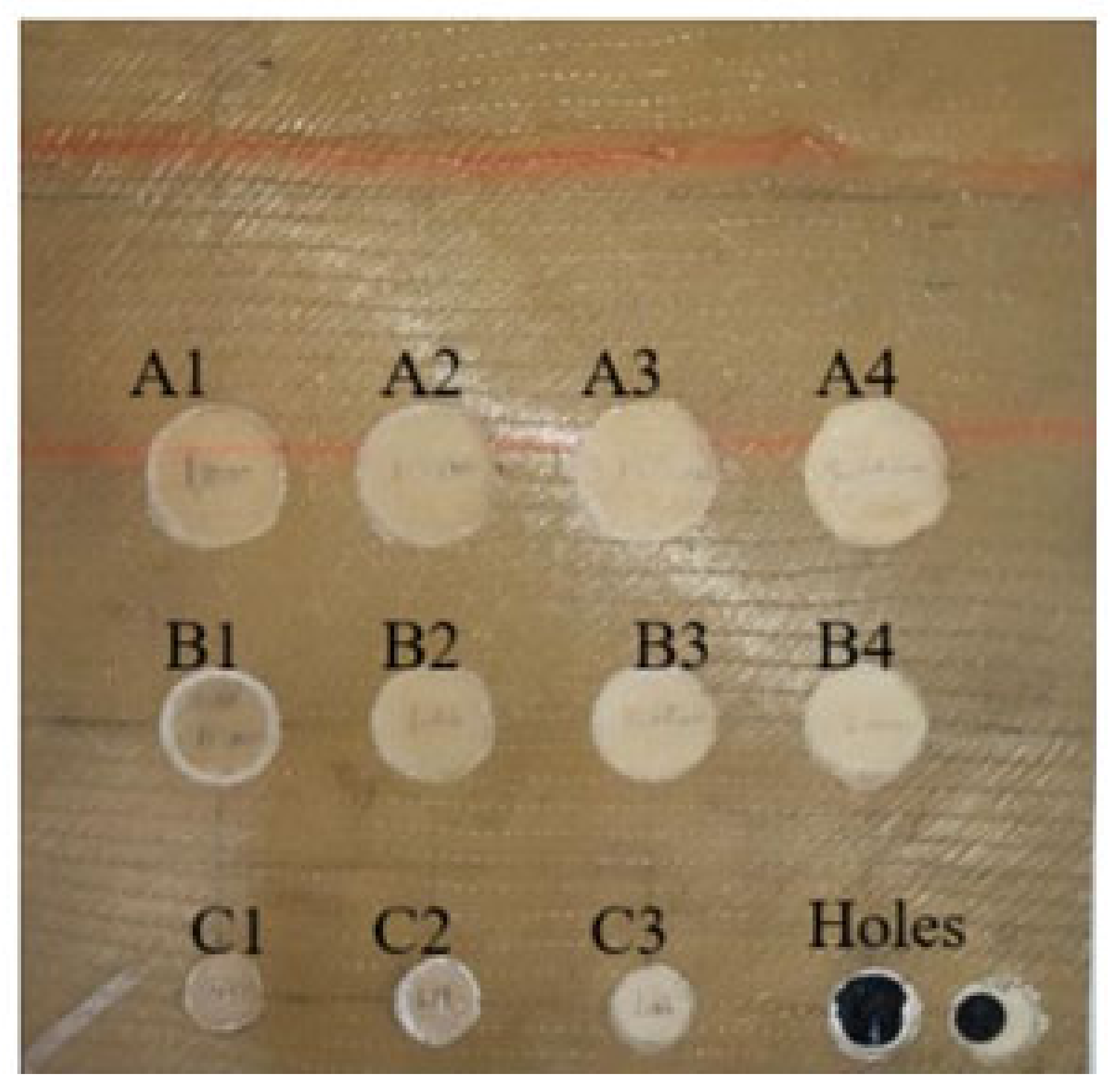 Sensors 24 05225 g002