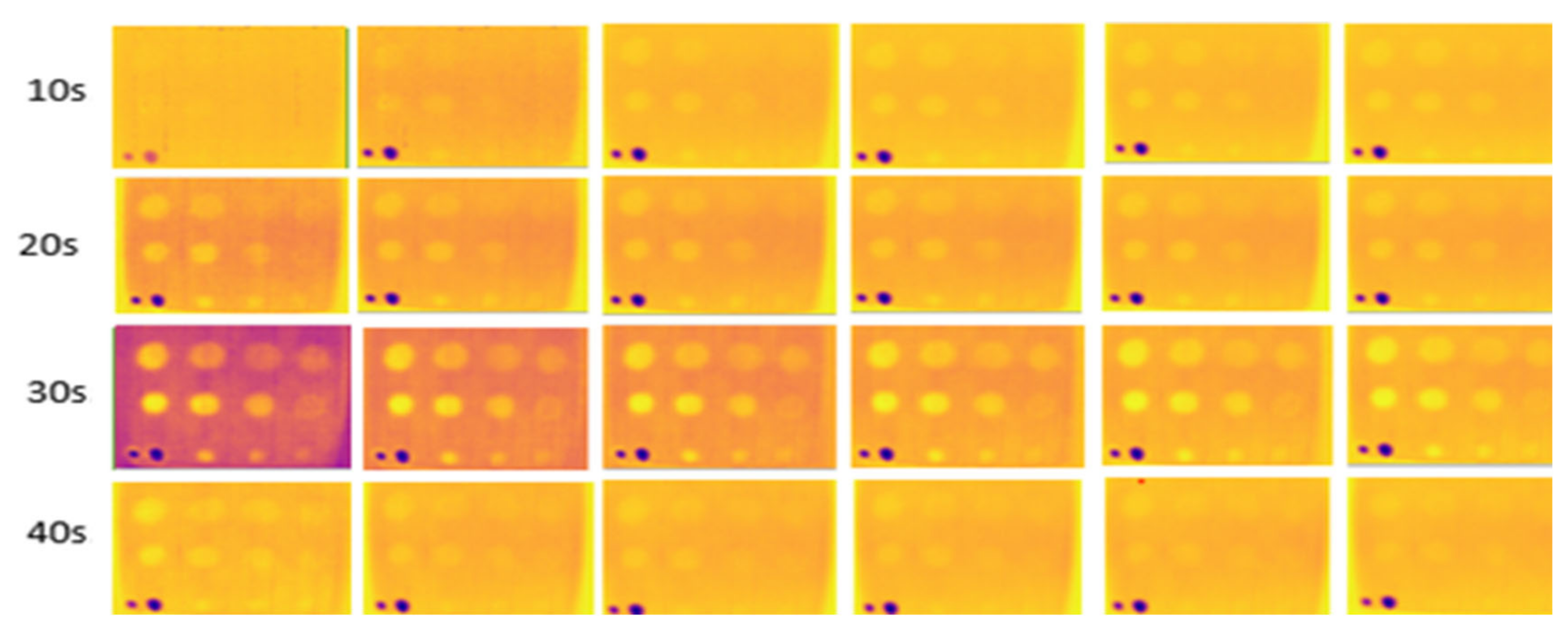 Sensors 24 05225 g012