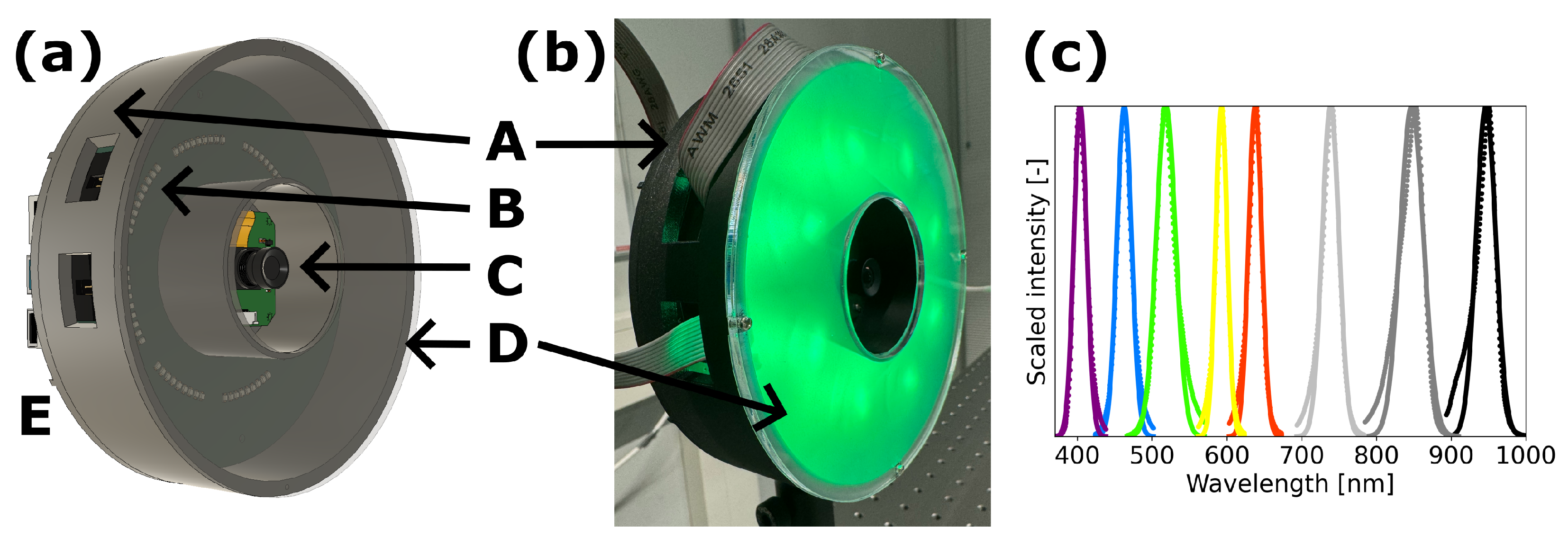 Sensors 24 05229 g001