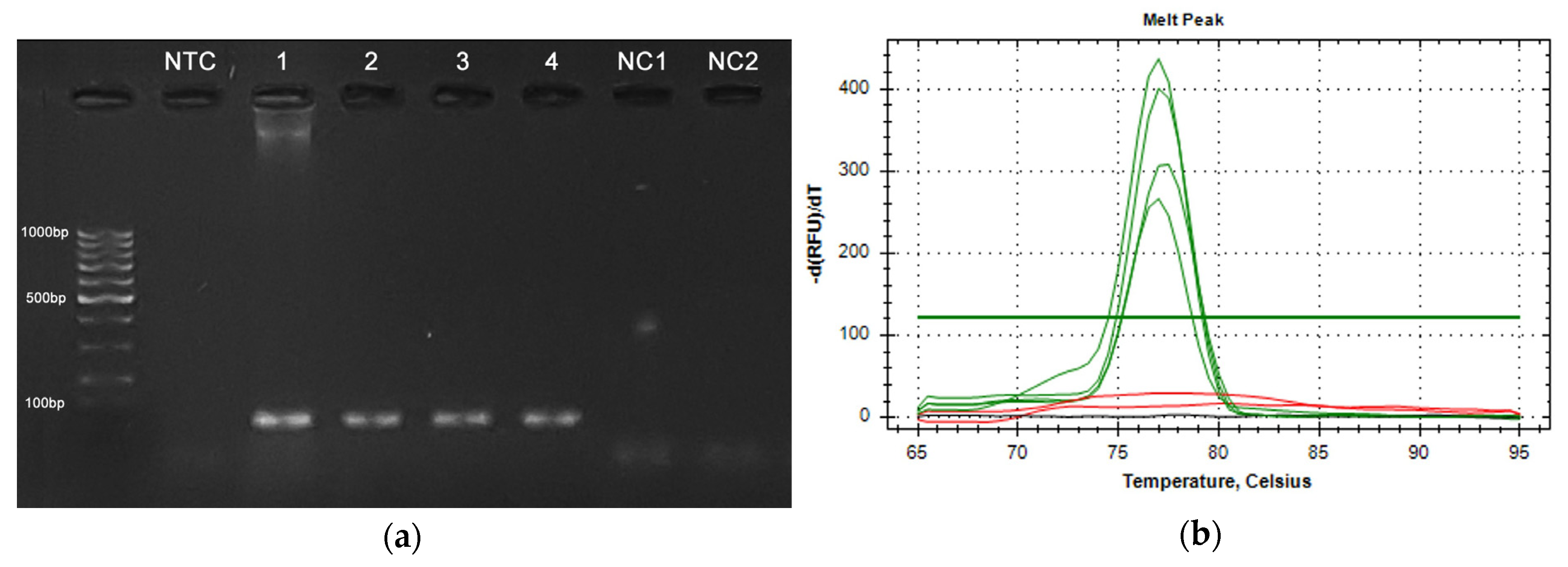 Sensors 24 05241 g011