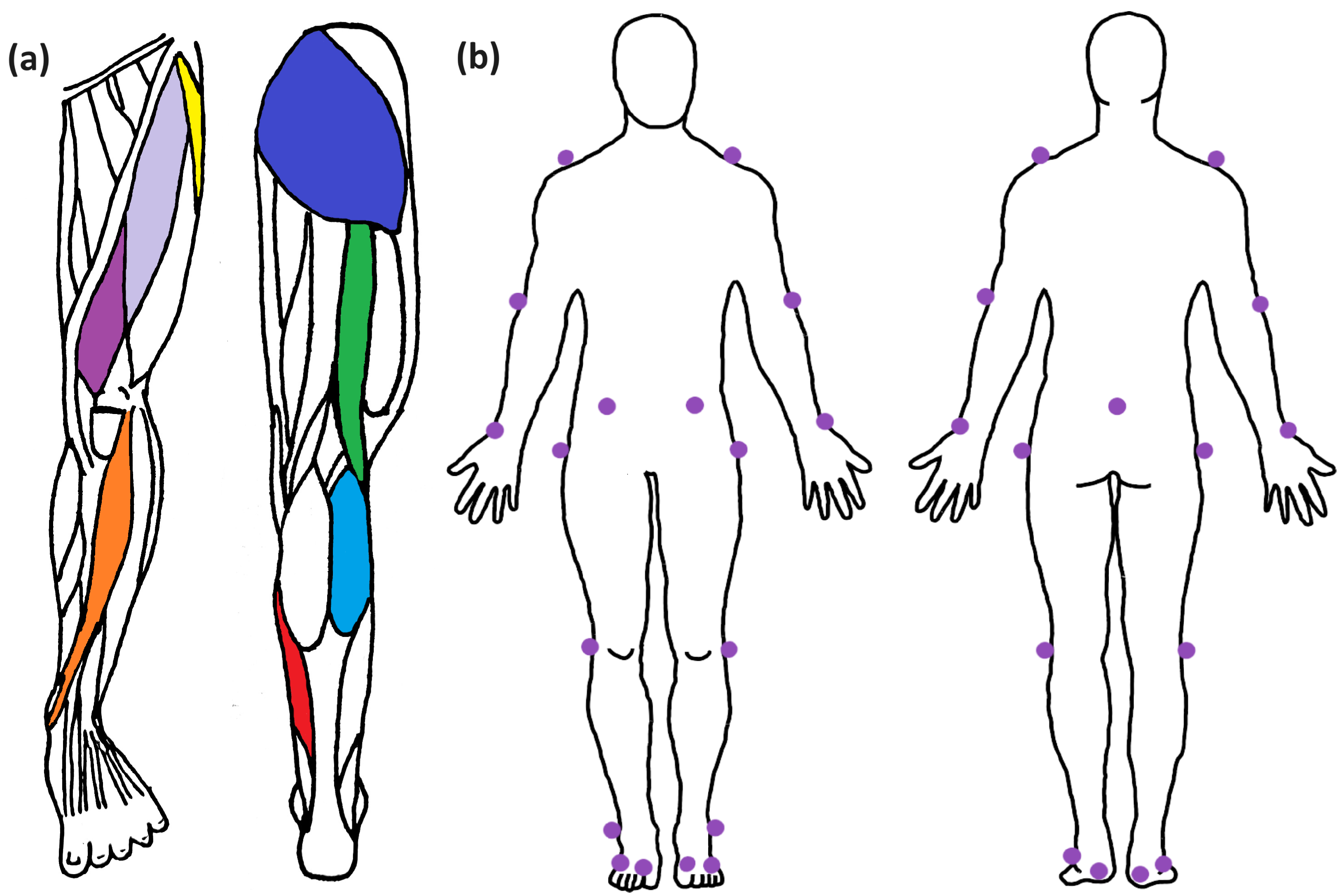 Sensors 24 05242 g002