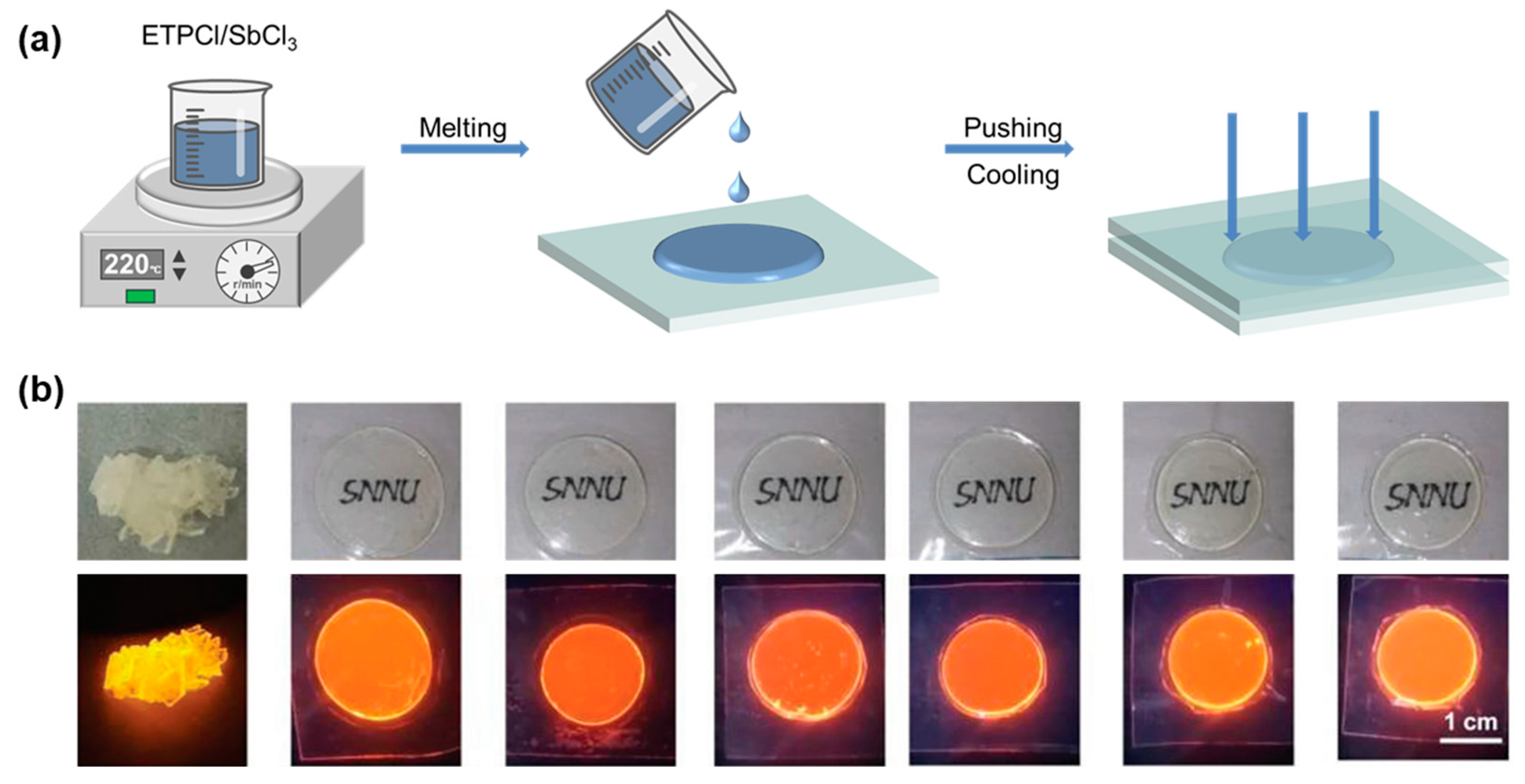 Sensors 24 05258 g008