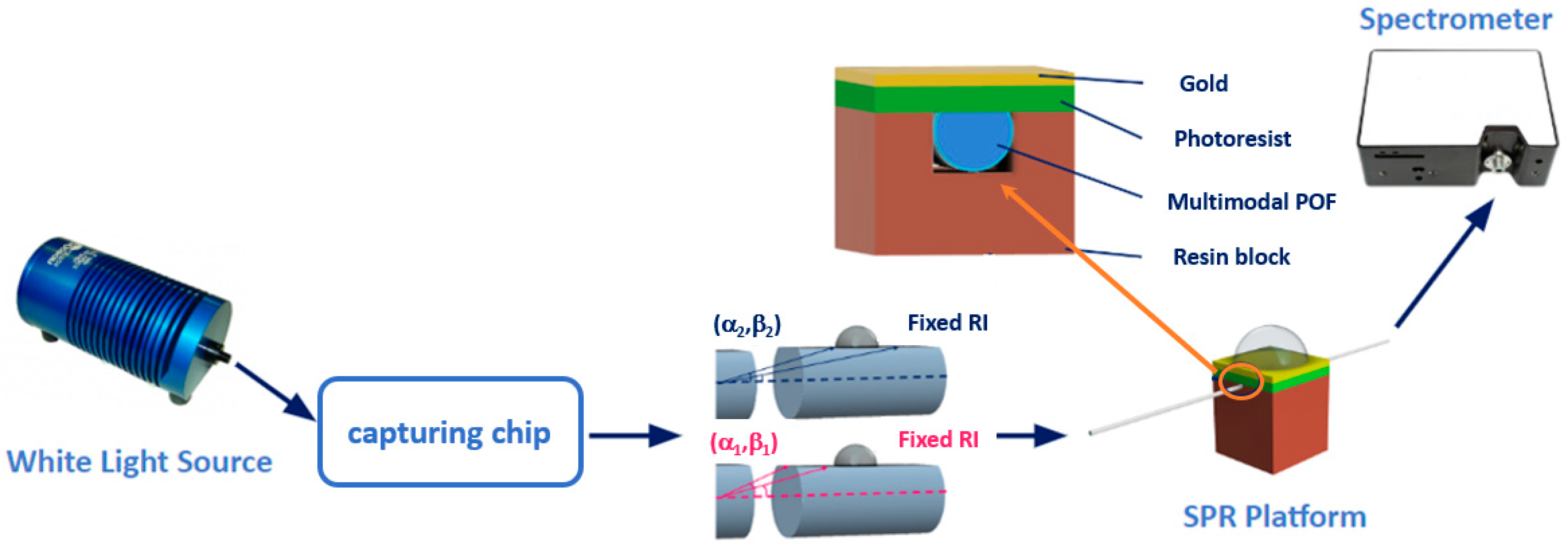 Sensors 24 05261 g001
