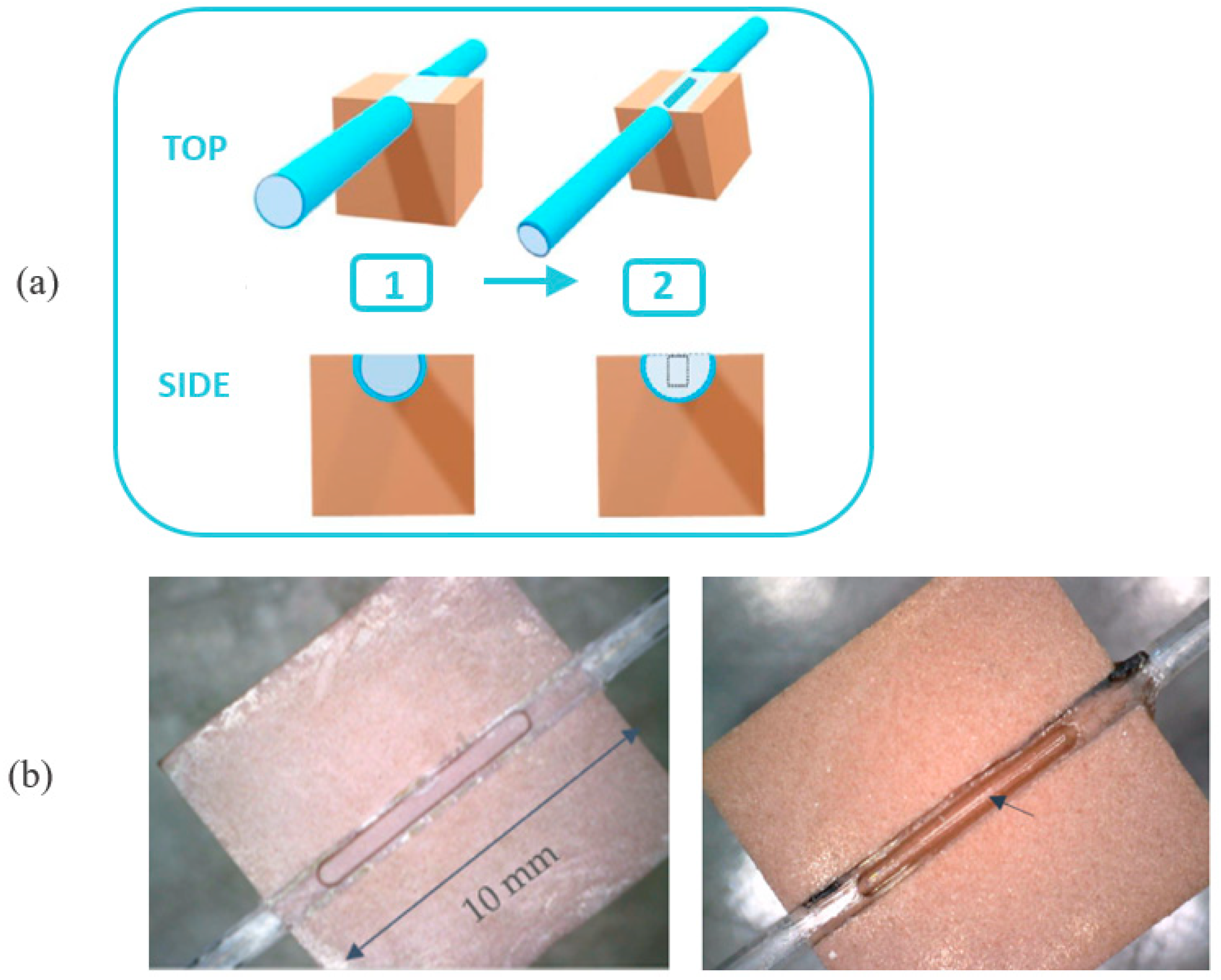Sensors 24 05261 g003