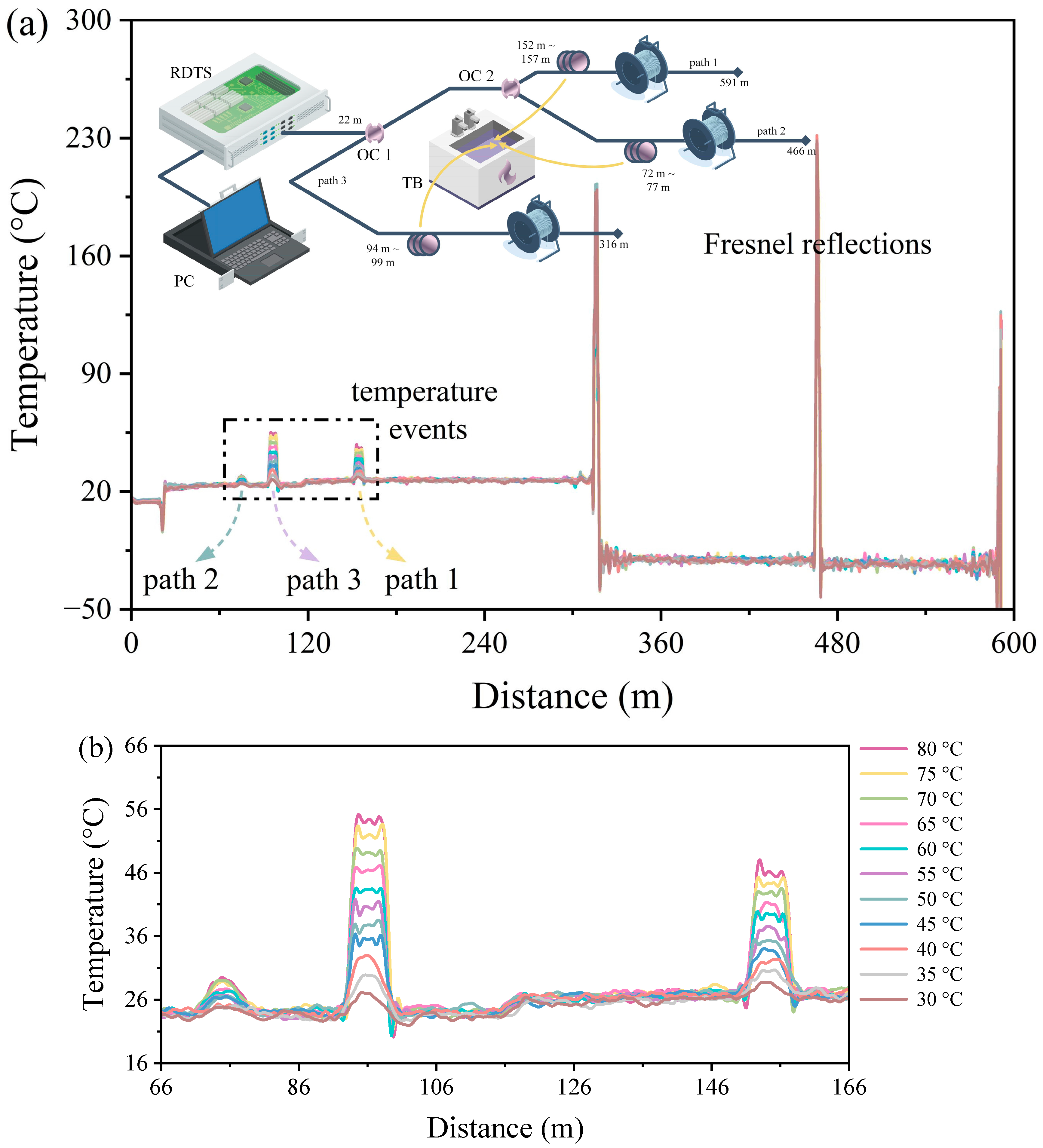 Sensors 24 05277 g008