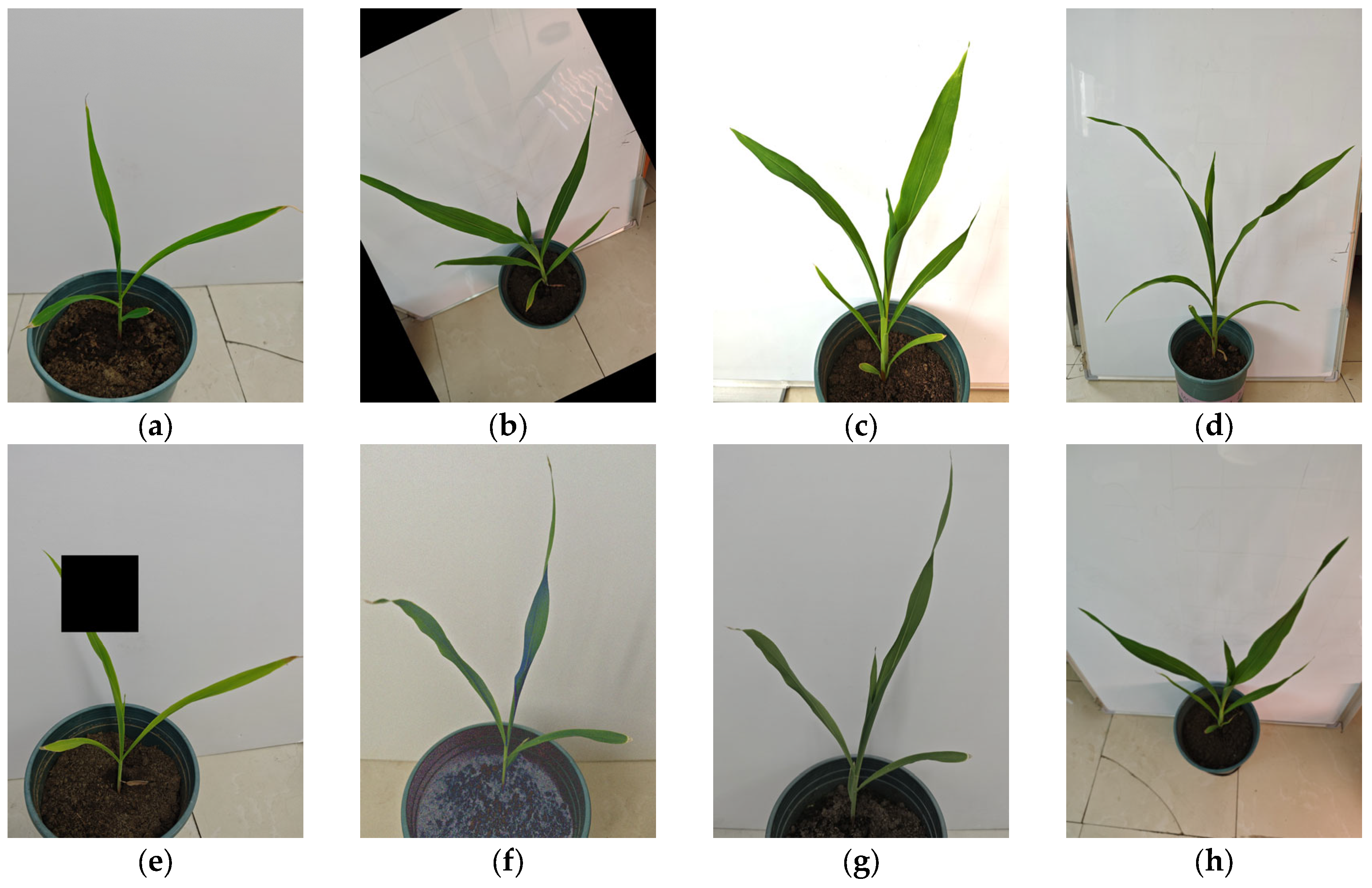 Sensors 24 05279 g002