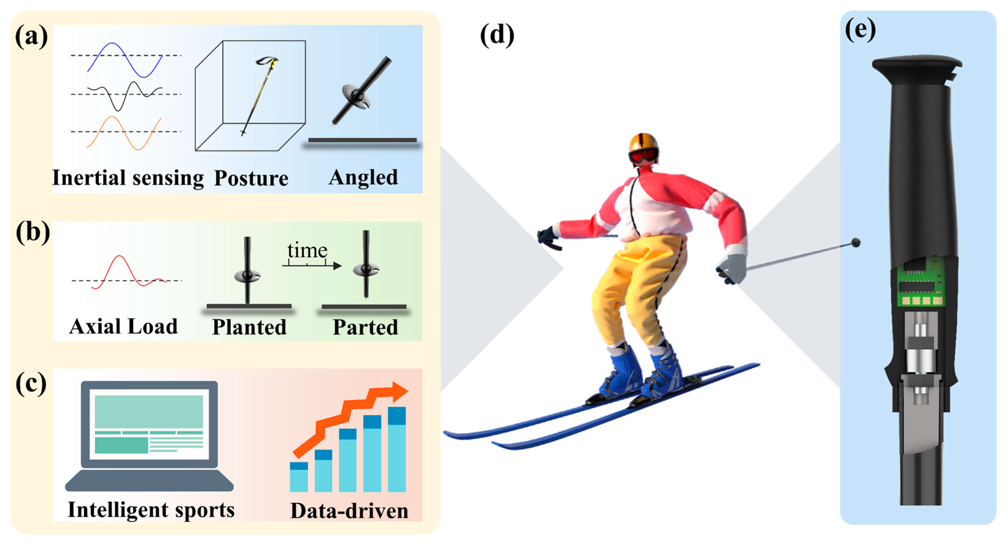 Sensors 24 05291 g001