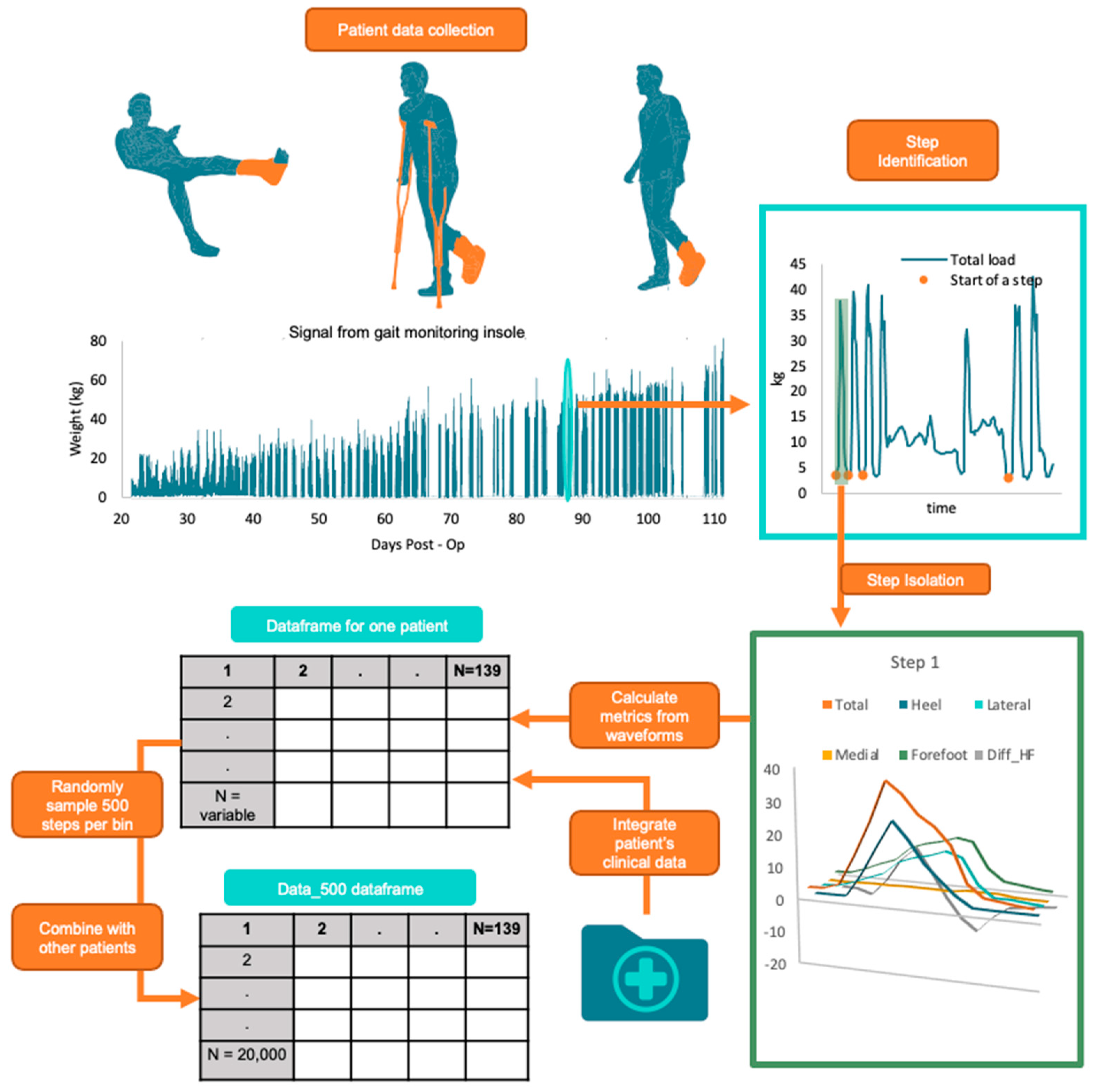 Sensors 24 05321 g001