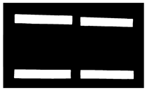 Sensors 24 05330 i004