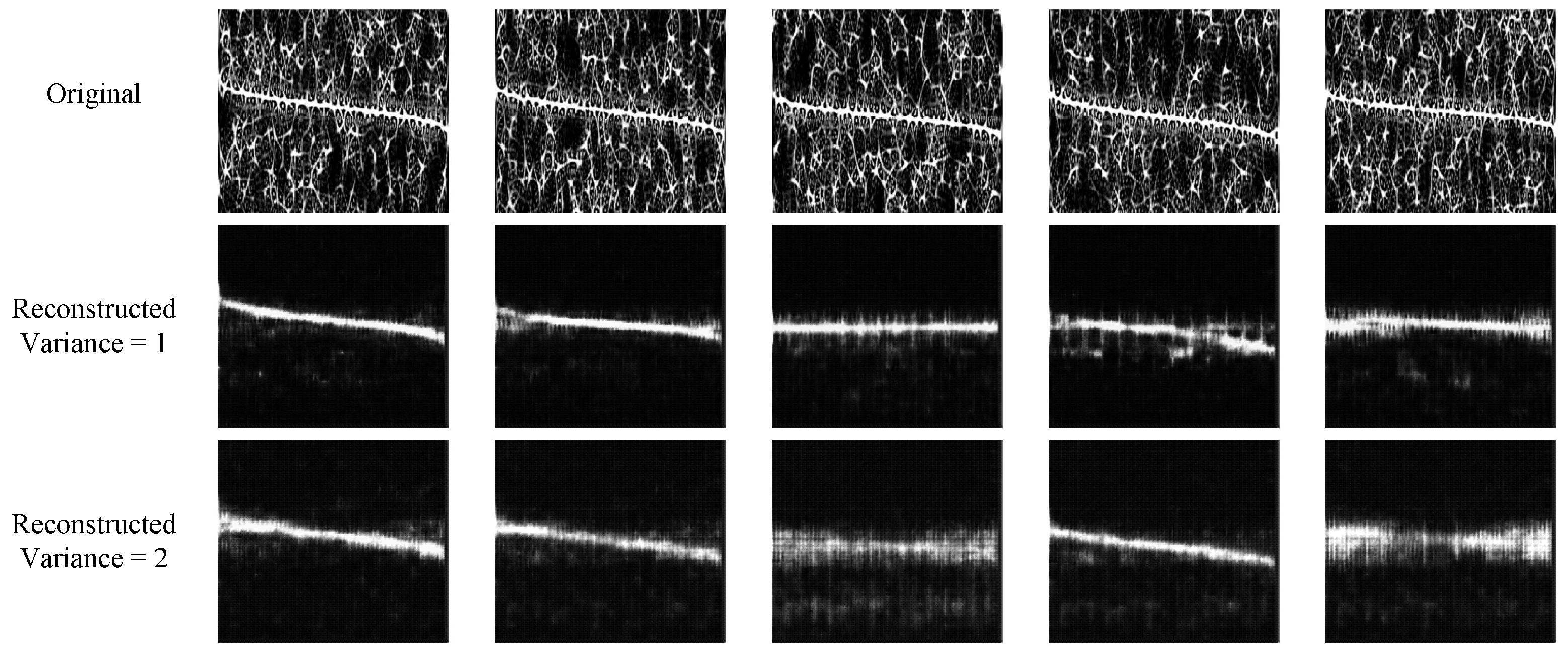 Sensors 24 05344 g005