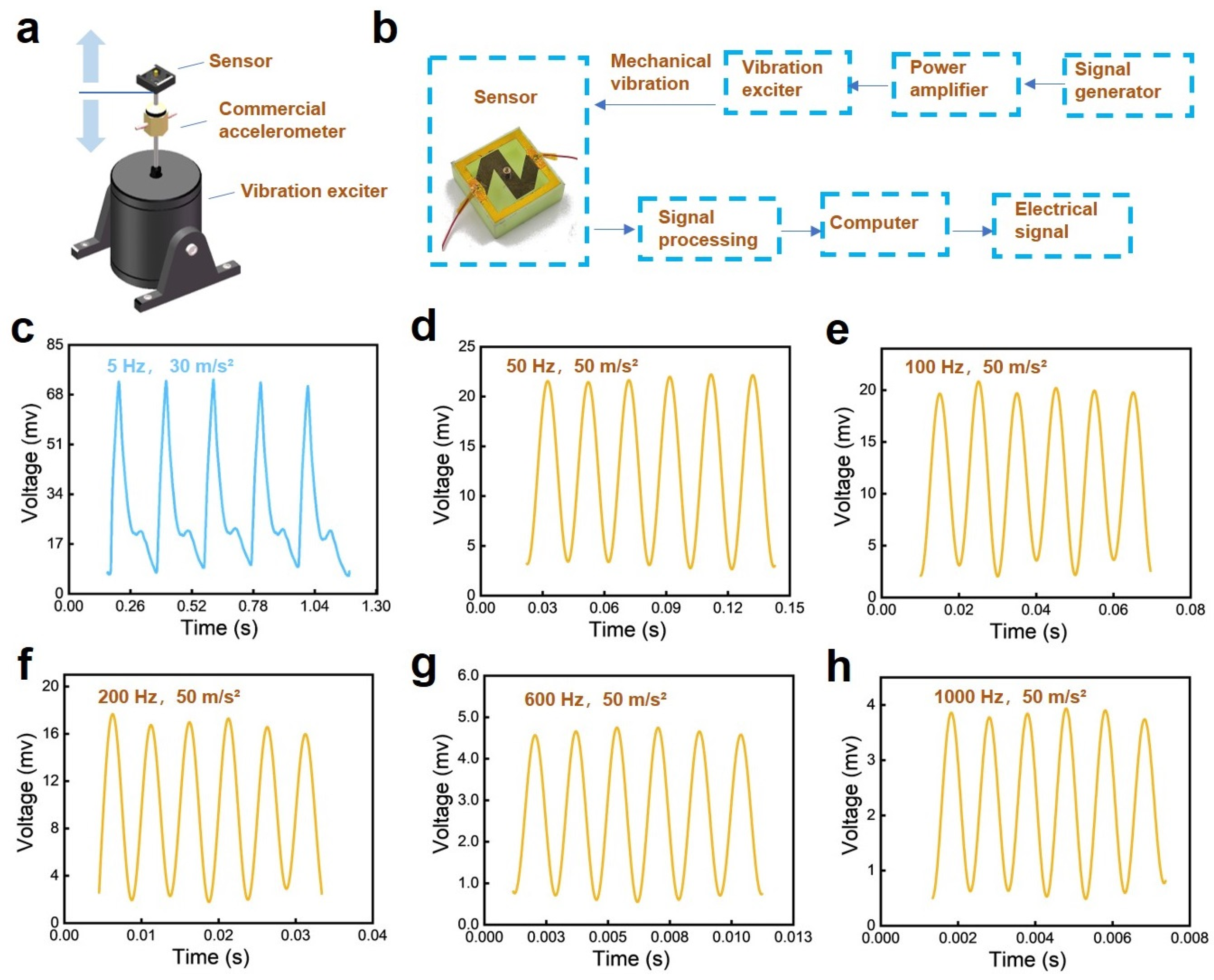 Sensors 24 05349 g003