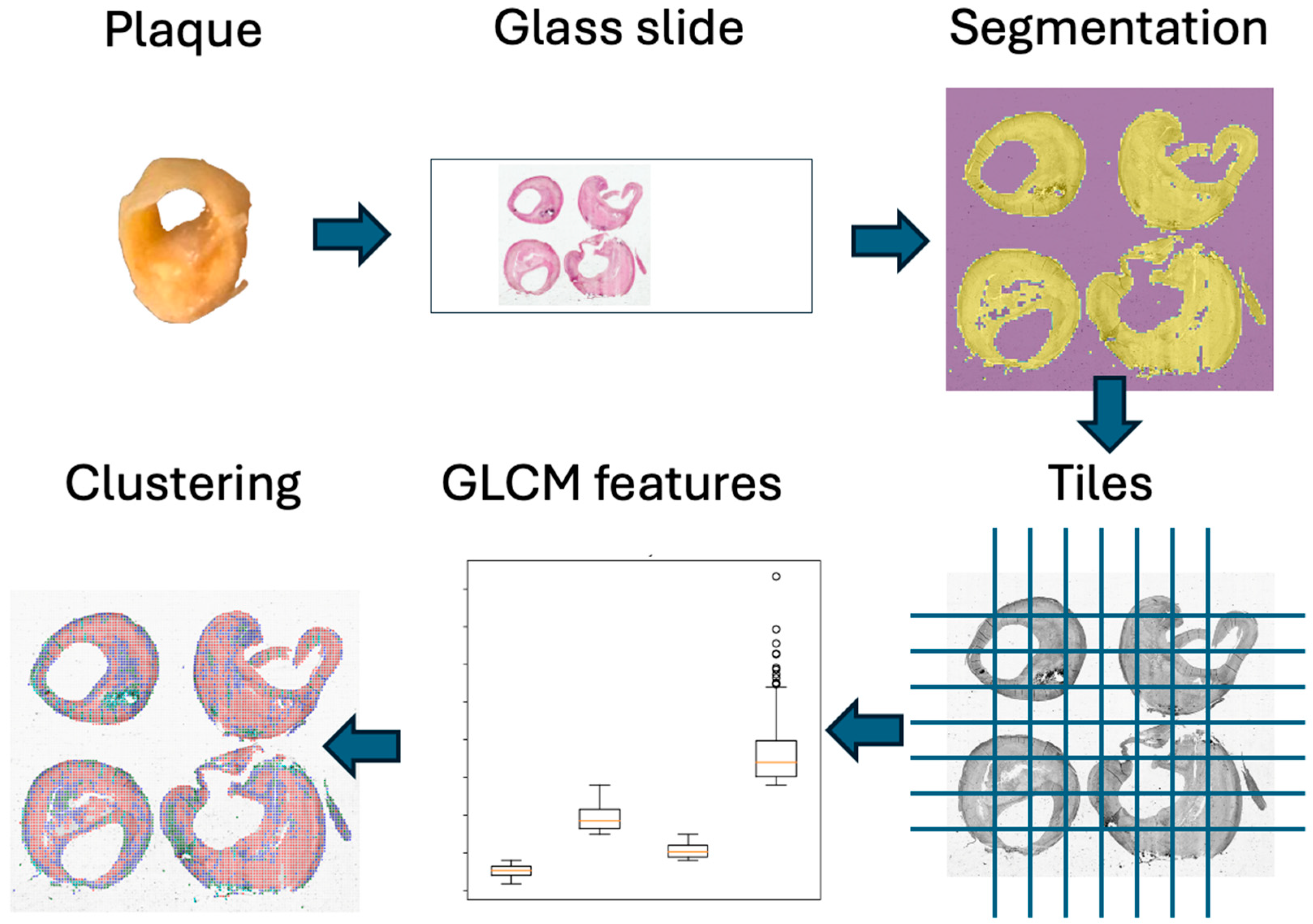 Sensors 24 05383 g001