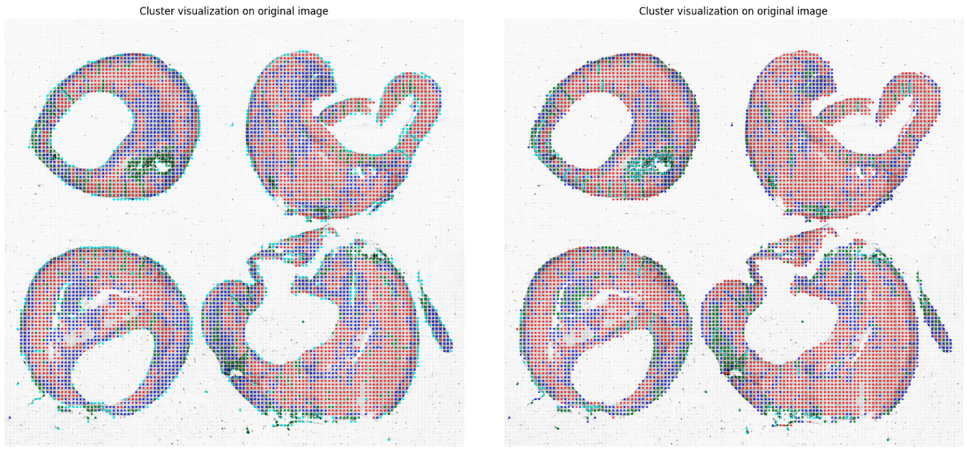 Sensors 24 05383 g006