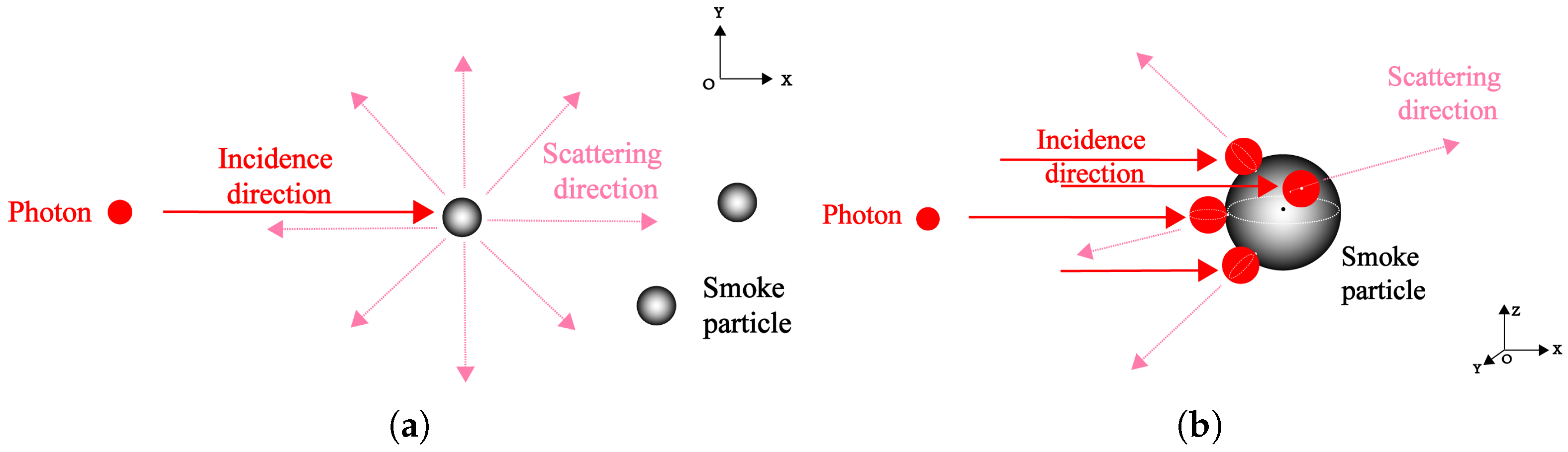 Sensors 24 05395 g001